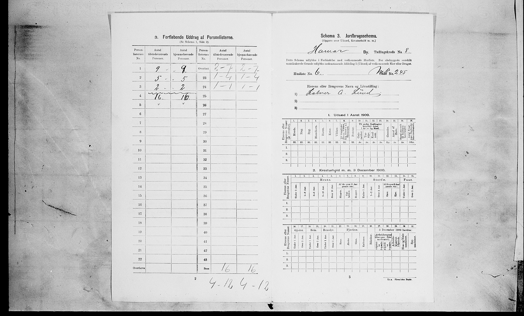 SAH, 1900 census for Hamar, 1900, p. 2521