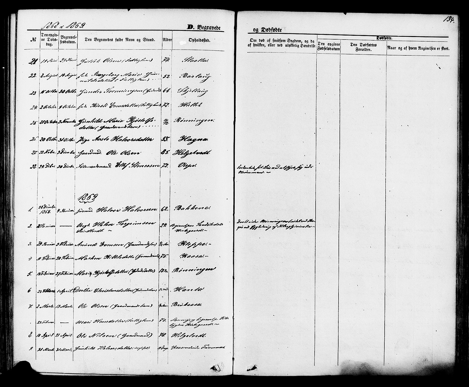 Lunde kirkebøker, SAKO/A-282/F/Fa/L0001: Parish register (official) no. I 1, 1866-1883, p. 134
