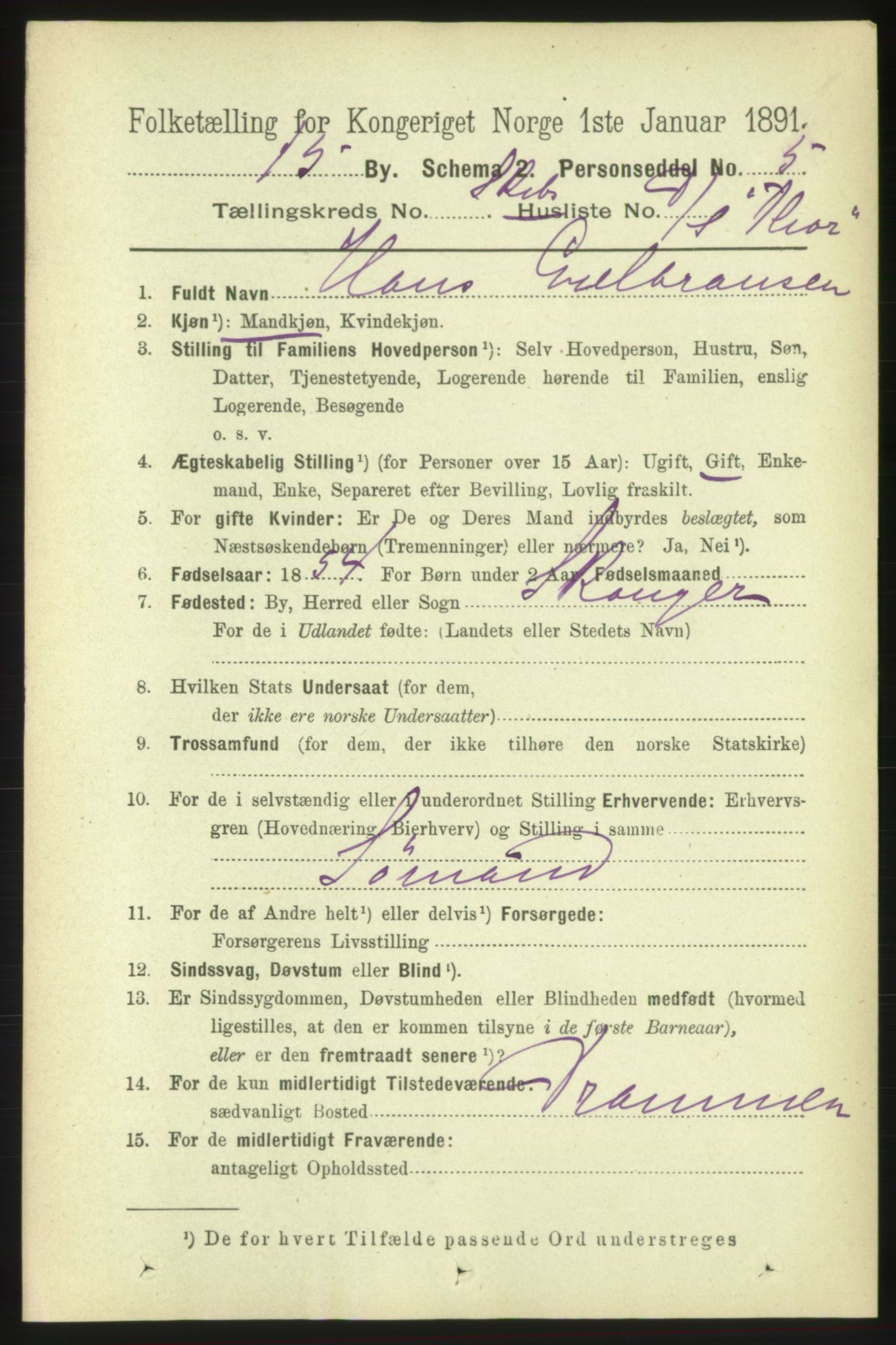 RA, 1891 census for 0602 Drammen, 1891, p. 25631