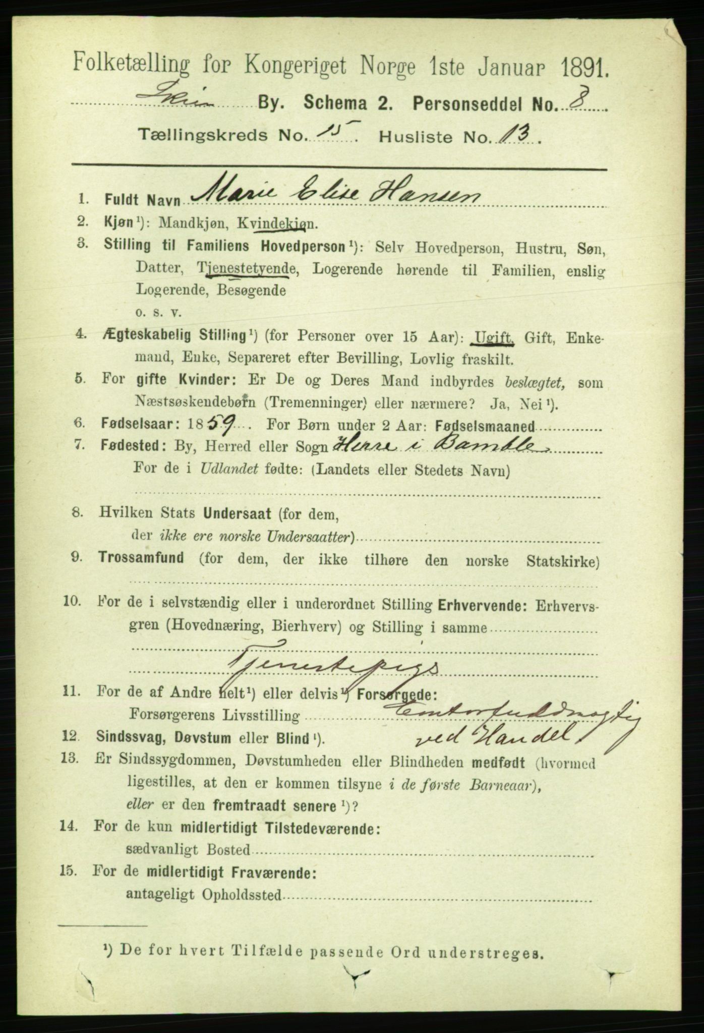 RA, 1891 census for 0806 Skien, 1891, p. 4550