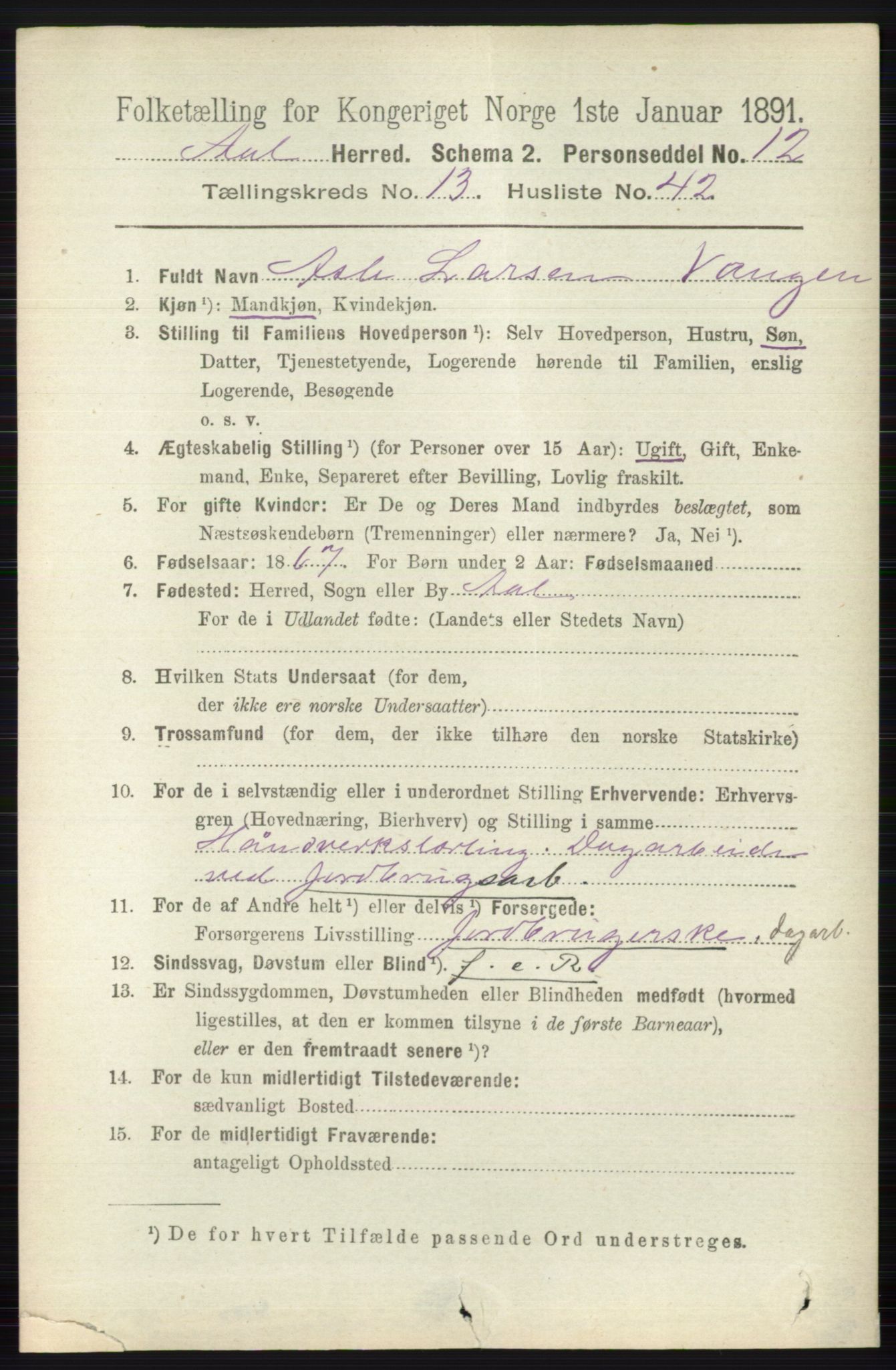 RA, 1891 census for 0619 Ål, 1891, p. 3505