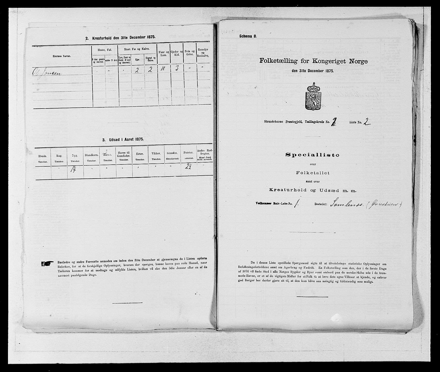 SAB, 1875 census for 1226P Strandebarm, 1875, p. 1167