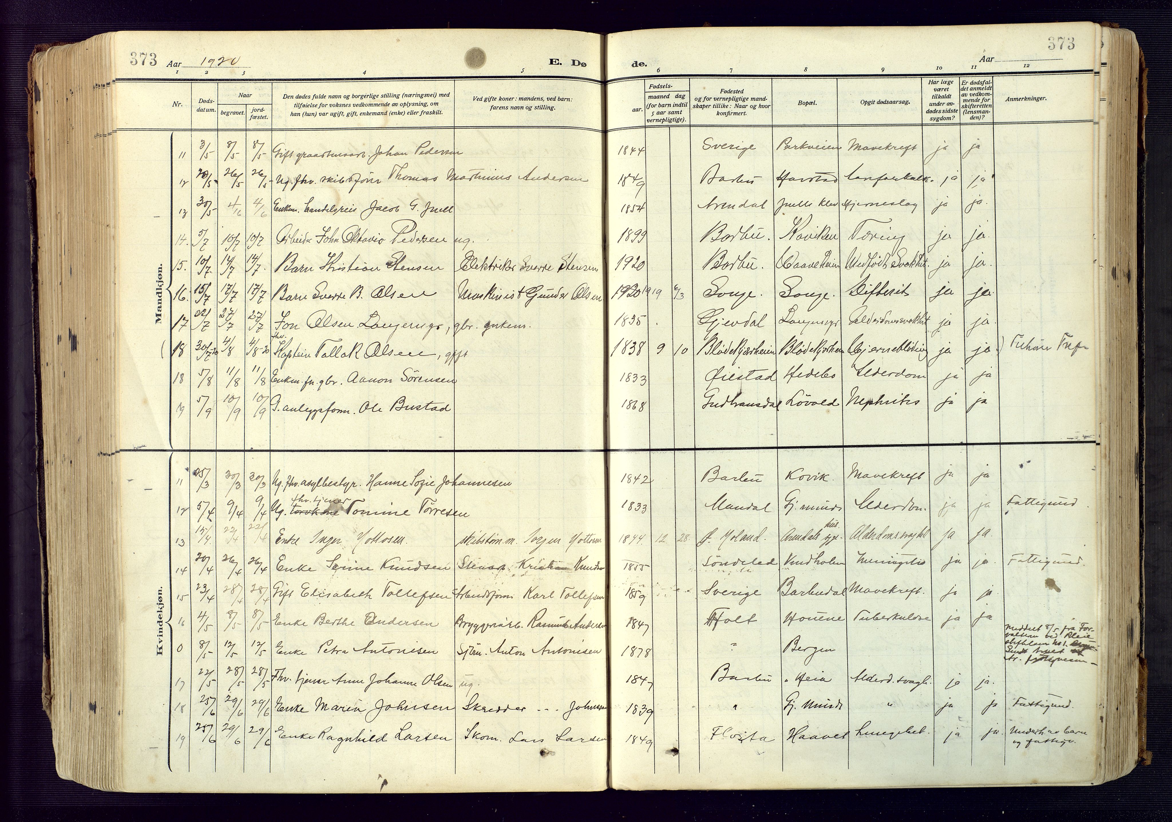 Barbu sokneprestkontor, AV/SAK-1111-0003/F/Fa/L0006: Parish register (official) no. A 6, 1910-1929, p. 373