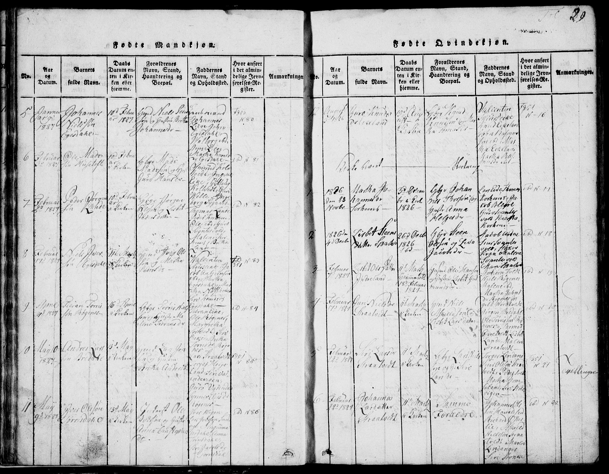 Skjold sokneprestkontor, AV/SAST-A-101847/H/Ha/Hab/L0002: Parish register (copy) no. B 2 /2, 1815-1830, p. 29