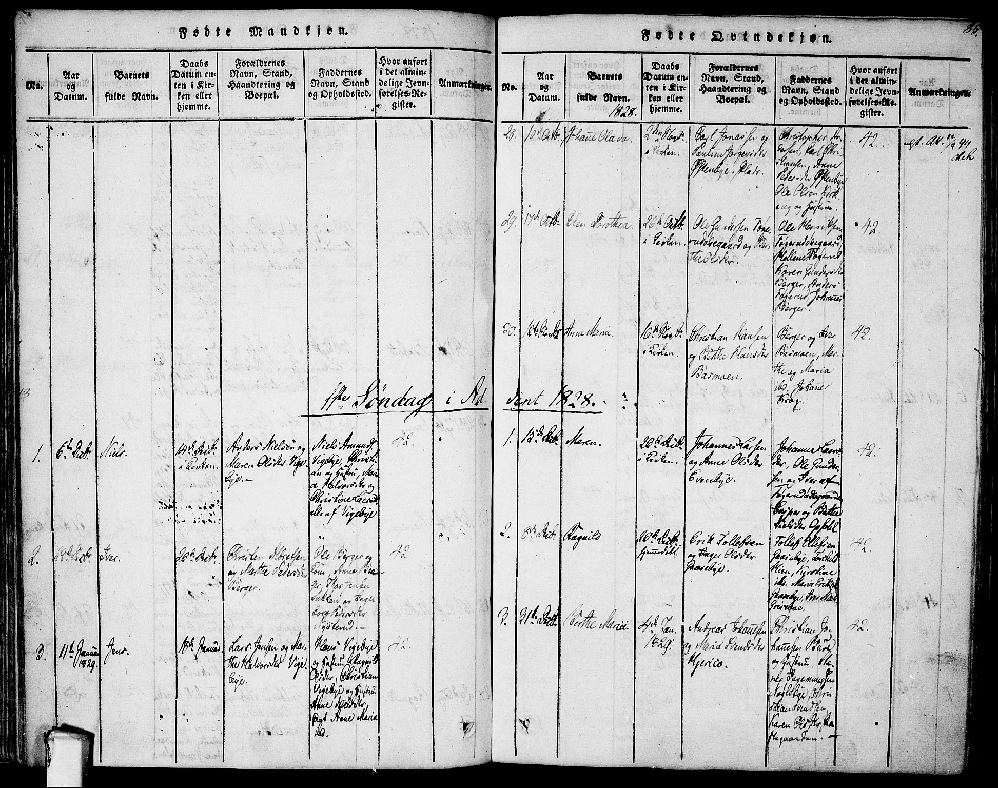 Rødenes prestekontor Kirkebøker, AV/SAO-A-2005/F/Fa/L0004: Parish register (official) no. I 4, 1814-1838, p. 85