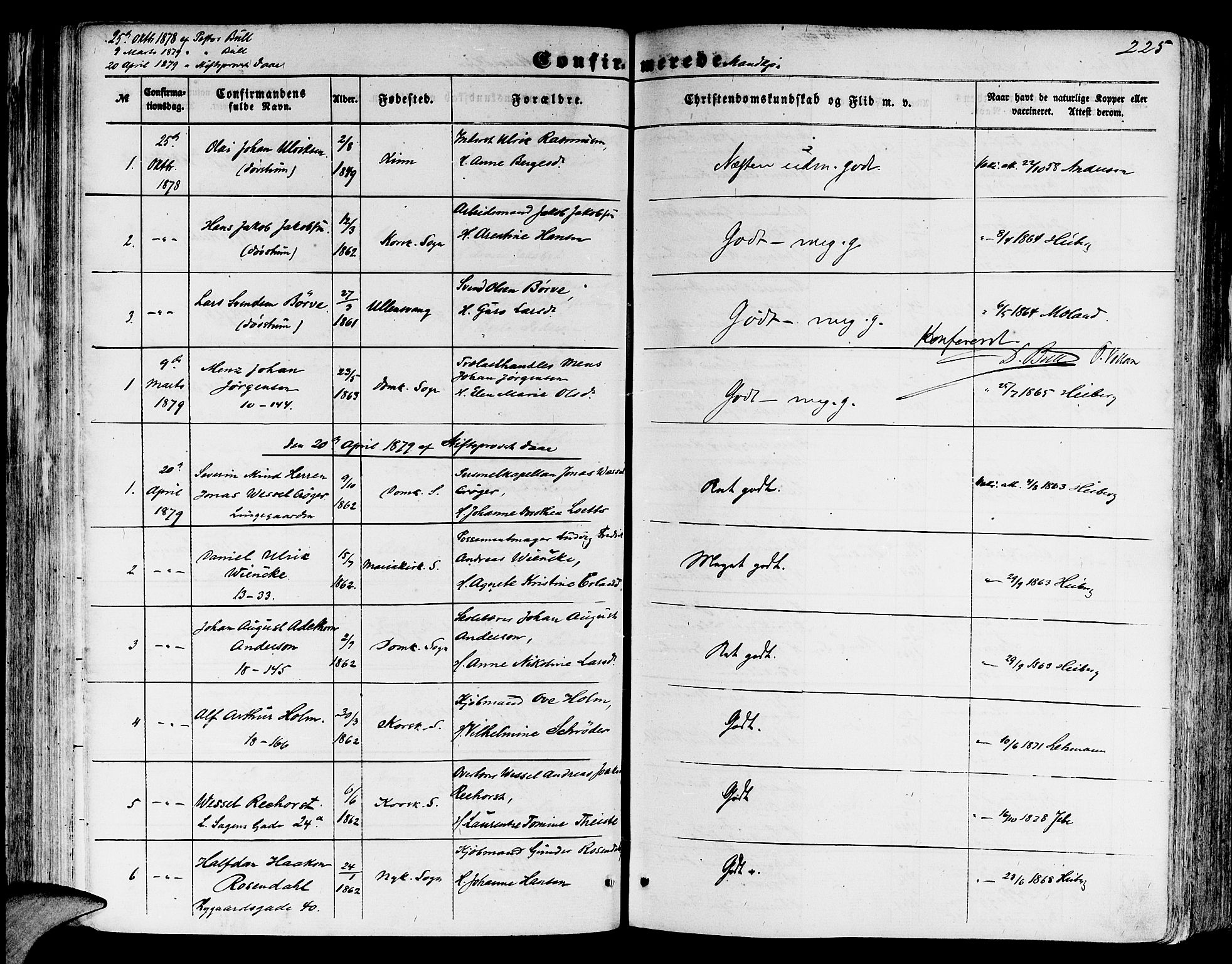 Domkirken sokneprestembete, SAB/A-74801/H/Hab/L0023: Parish register (copy) no. C 3, 1854-1880, p. 225