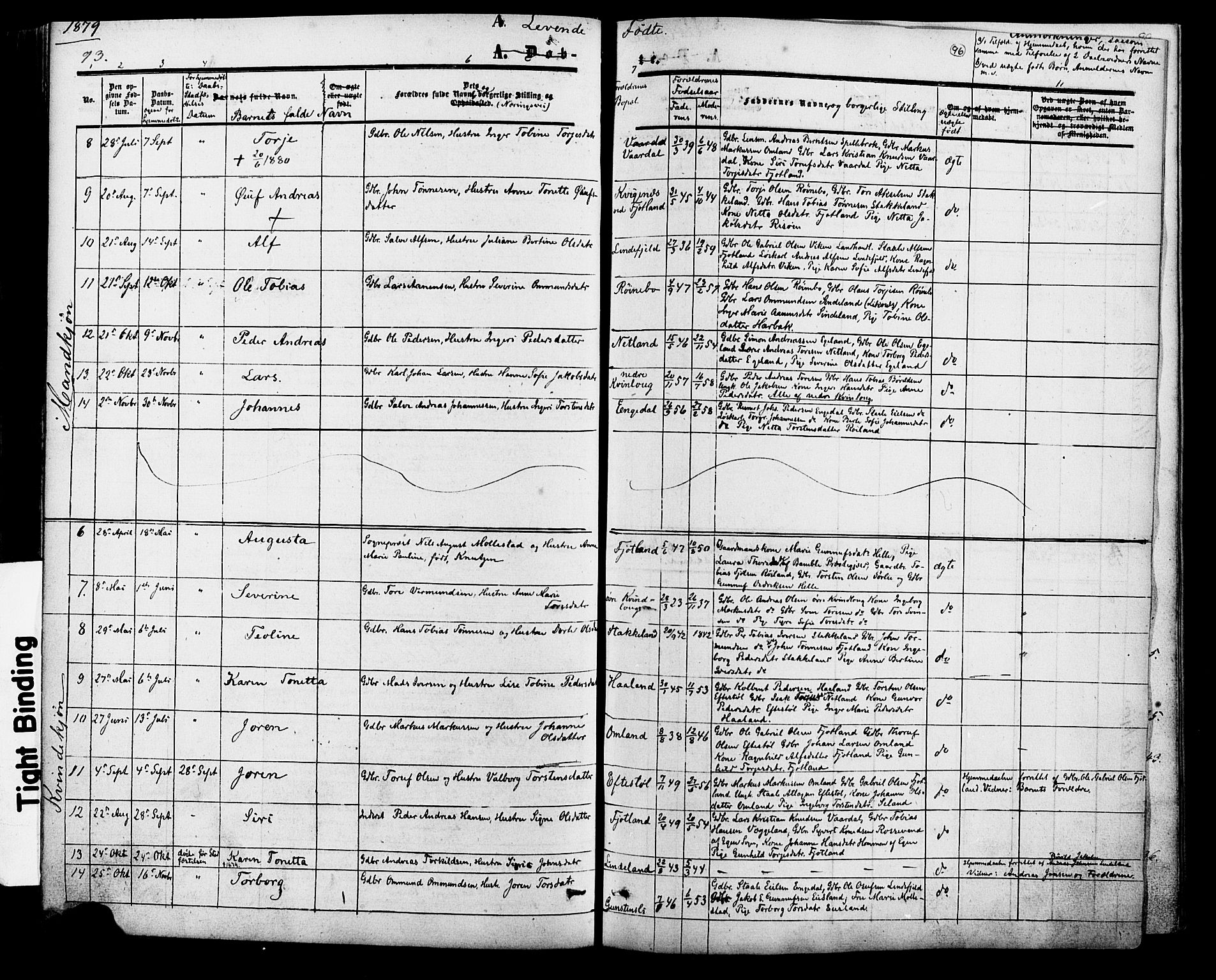 Fjotland sokneprestkontor, AV/SAK-1111-0010/F/Fa/L0001: Parish register (official) no. A 1, 1850-1879, p. 96