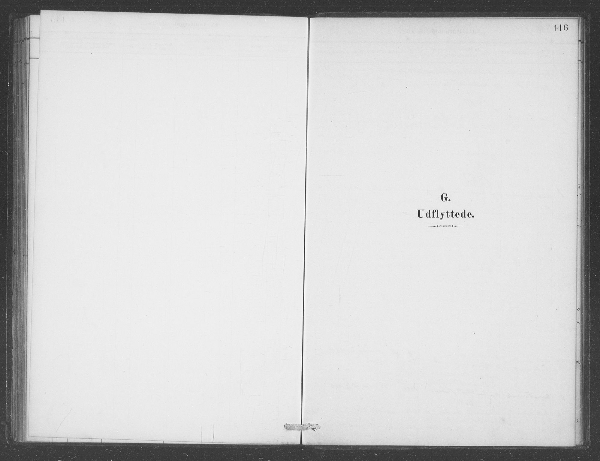 Aurland sokneprestembete, AV/SAB-A-99937/H/Ha/Had/L0001: Parish register (official) no. D  1, 1880-1903, p. 116