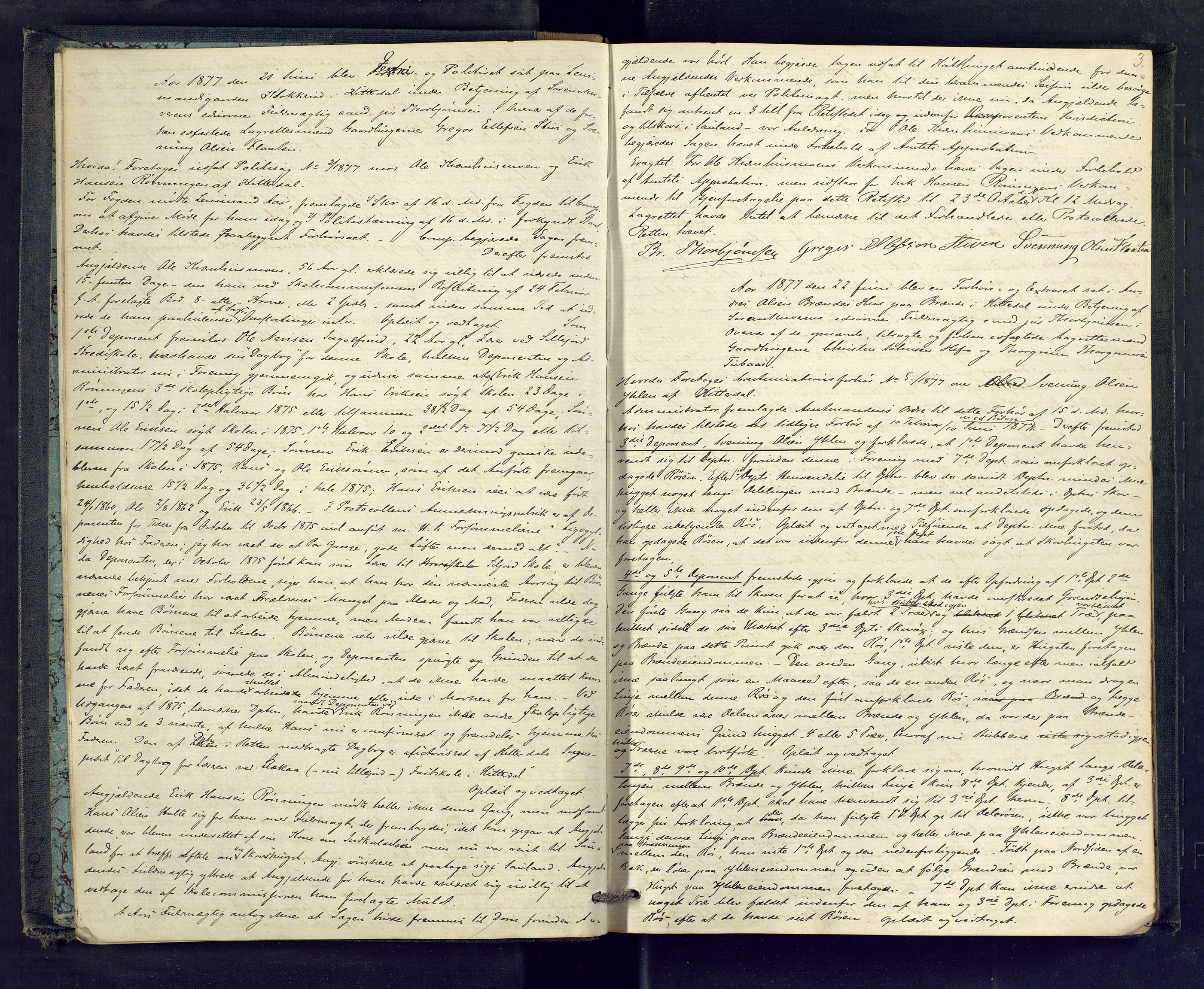Nedre Telemark sorenskriveri, AV/SAKO-A-135/F/Fc/Fcb/L0001: Ekstrarettsprotokoll, 1877-1881, p. 3