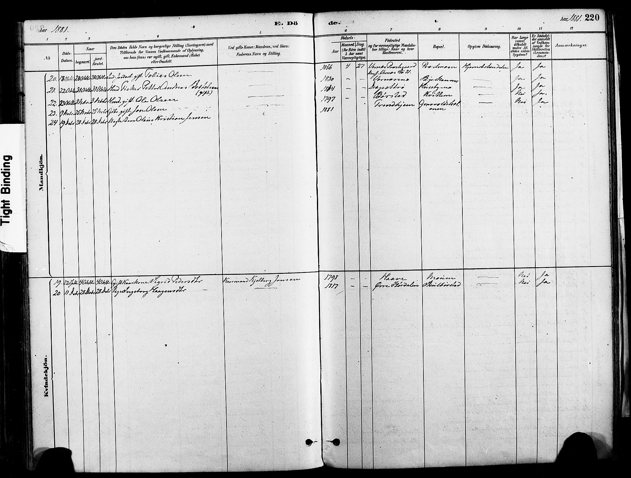Ministerialprotokoller, klokkerbøker og fødselsregistre - Nord-Trøndelag, SAT/A-1458/709/L0077: Parish register (official) no. 709A17, 1880-1895, p. 220