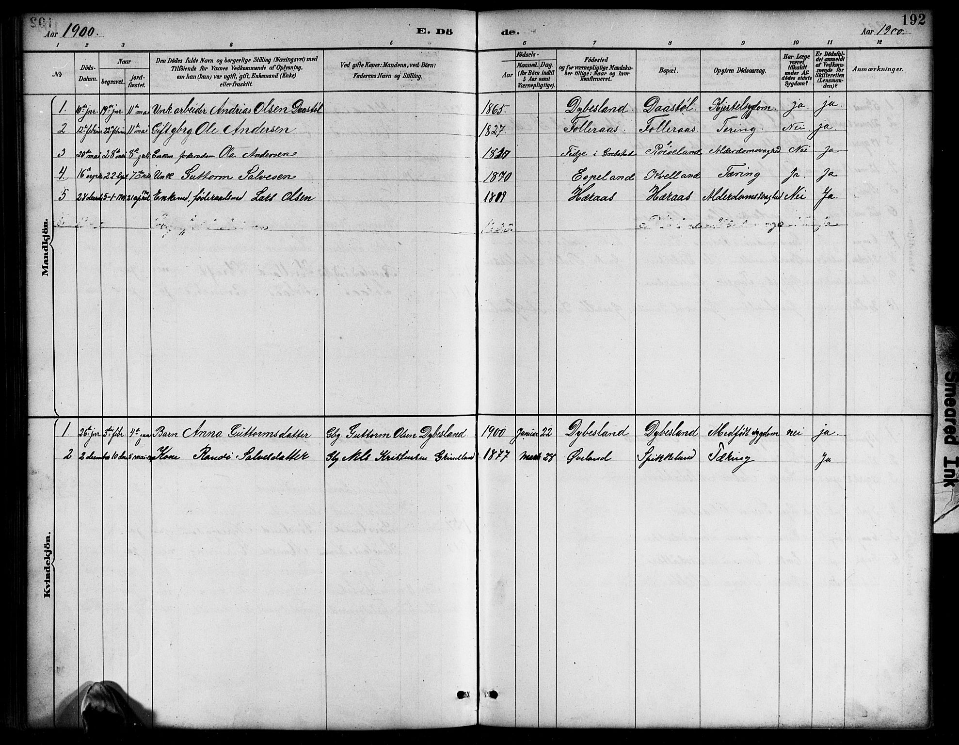 Bjelland sokneprestkontor, SAK/1111-0005/F/Fb/Fbb/L0005: Parish register (copy) no. B 5, 1887-1918, p. 192