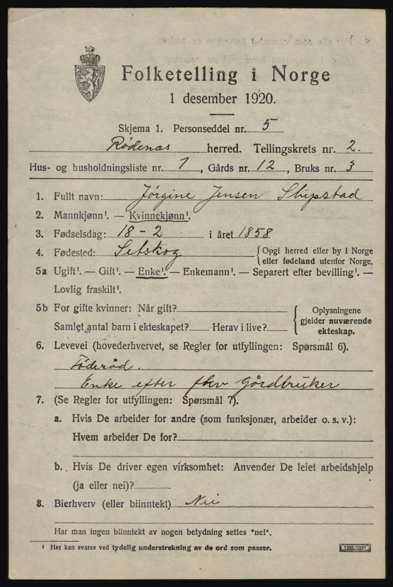 SAO, 1920 census for Rødenes, 1920, p. 1104