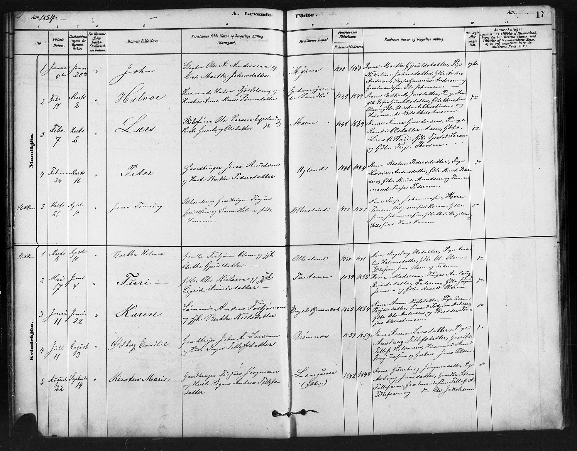 Austre Moland sokneprestkontor, SAK/1111-0001/F/Fb/Fba/L0003: Parish register (copy) no. B 3, 1879-1914, p. 17