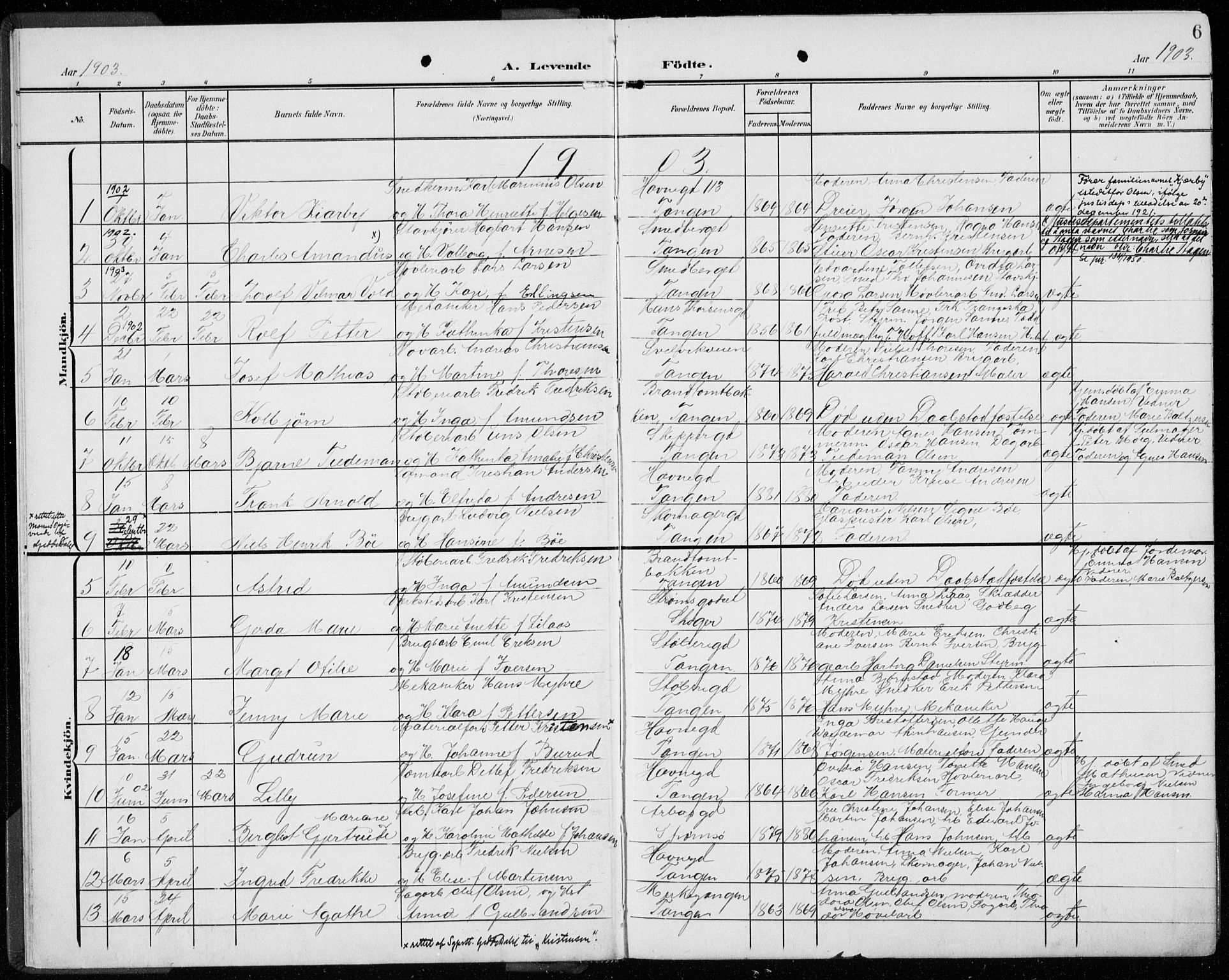 Strømsø kirkebøker, AV/SAKO-A-246/F/Fb/L0008: Parish register (official) no. II 8, 1902-1933, p. 6