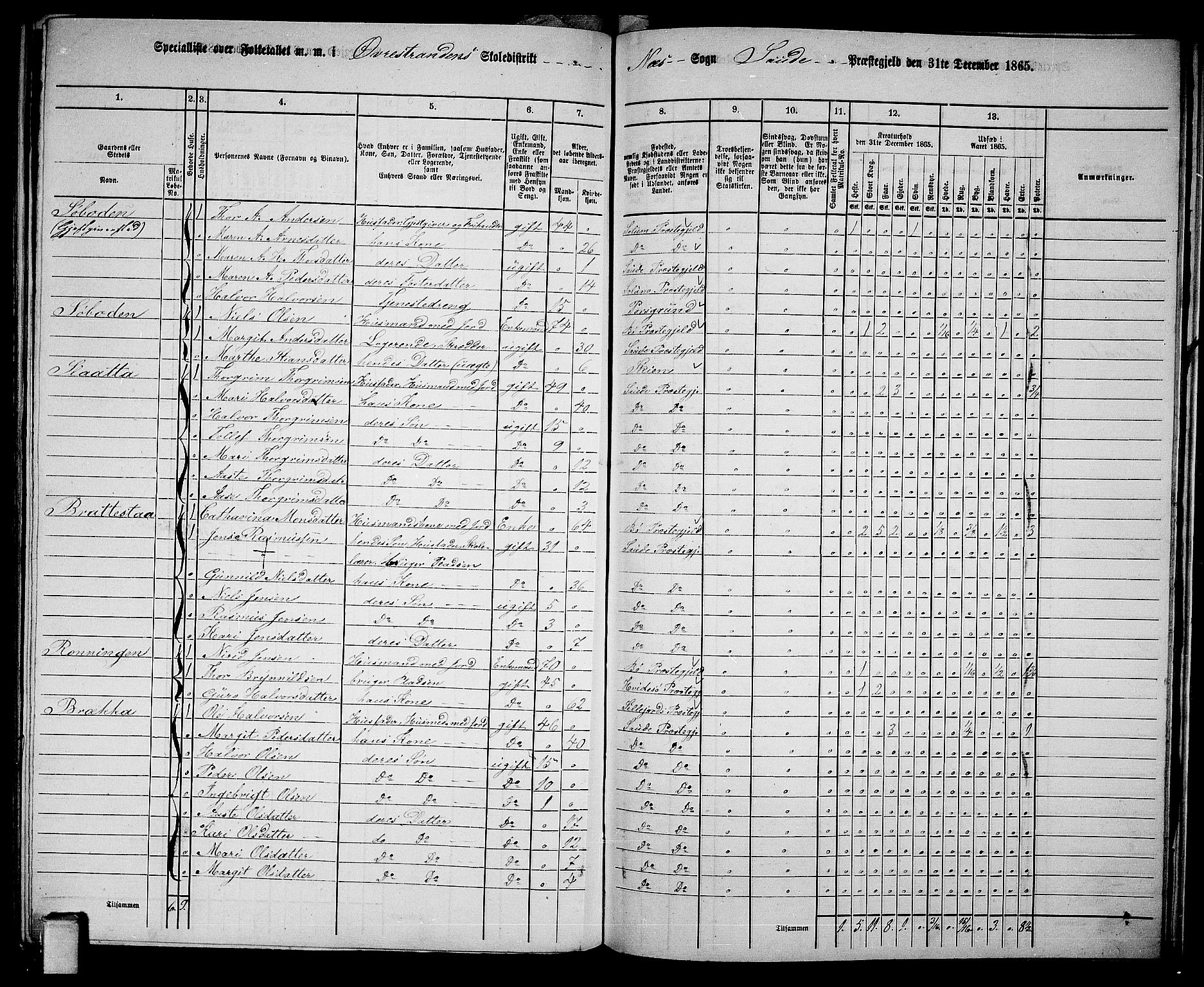 RA, 1865 census for Sauherad, 1865, p. 154