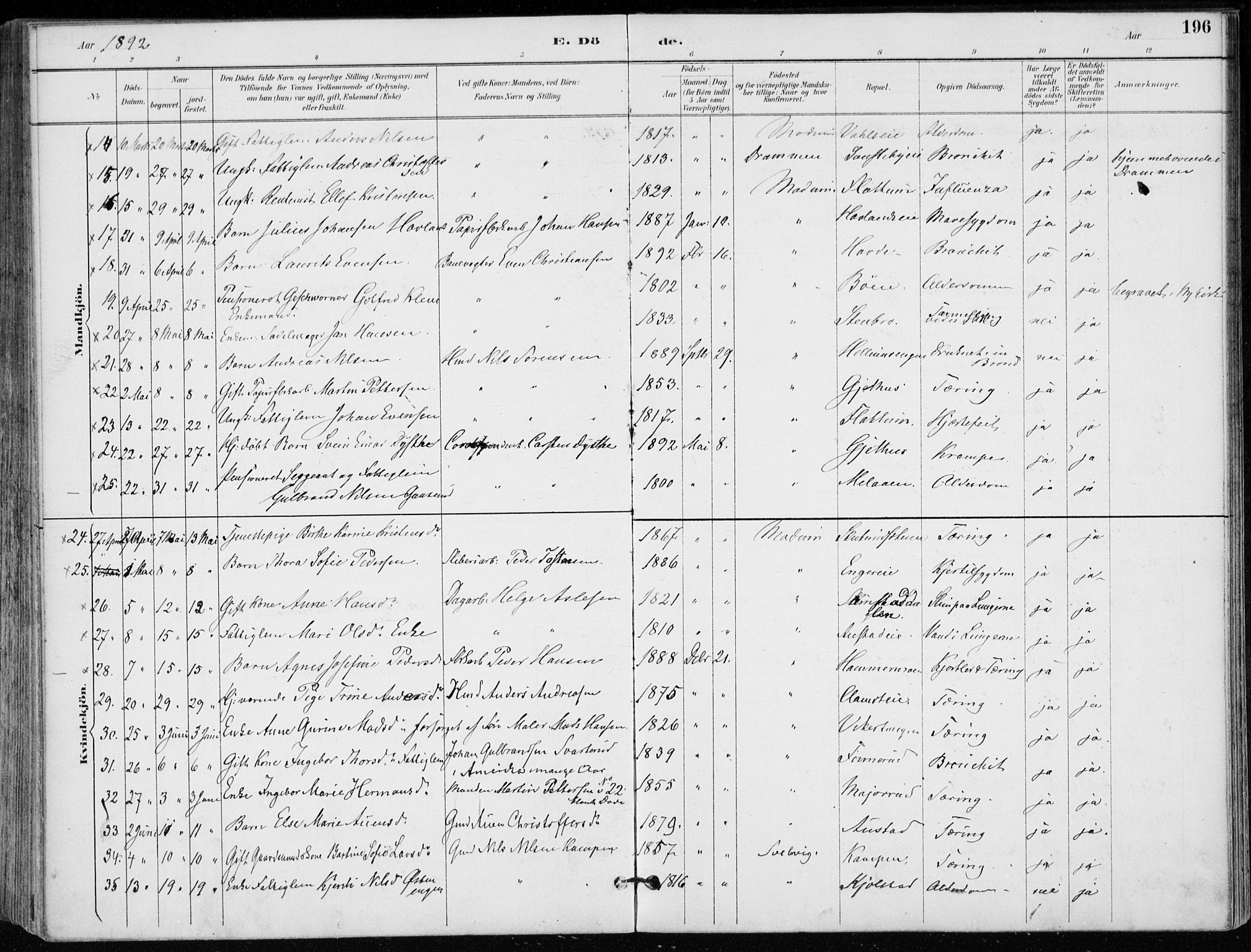 Modum kirkebøker, AV/SAKO-A-234/F/Fa/L0012: Parish register (official) no. 12, 1890-1898, p. 196