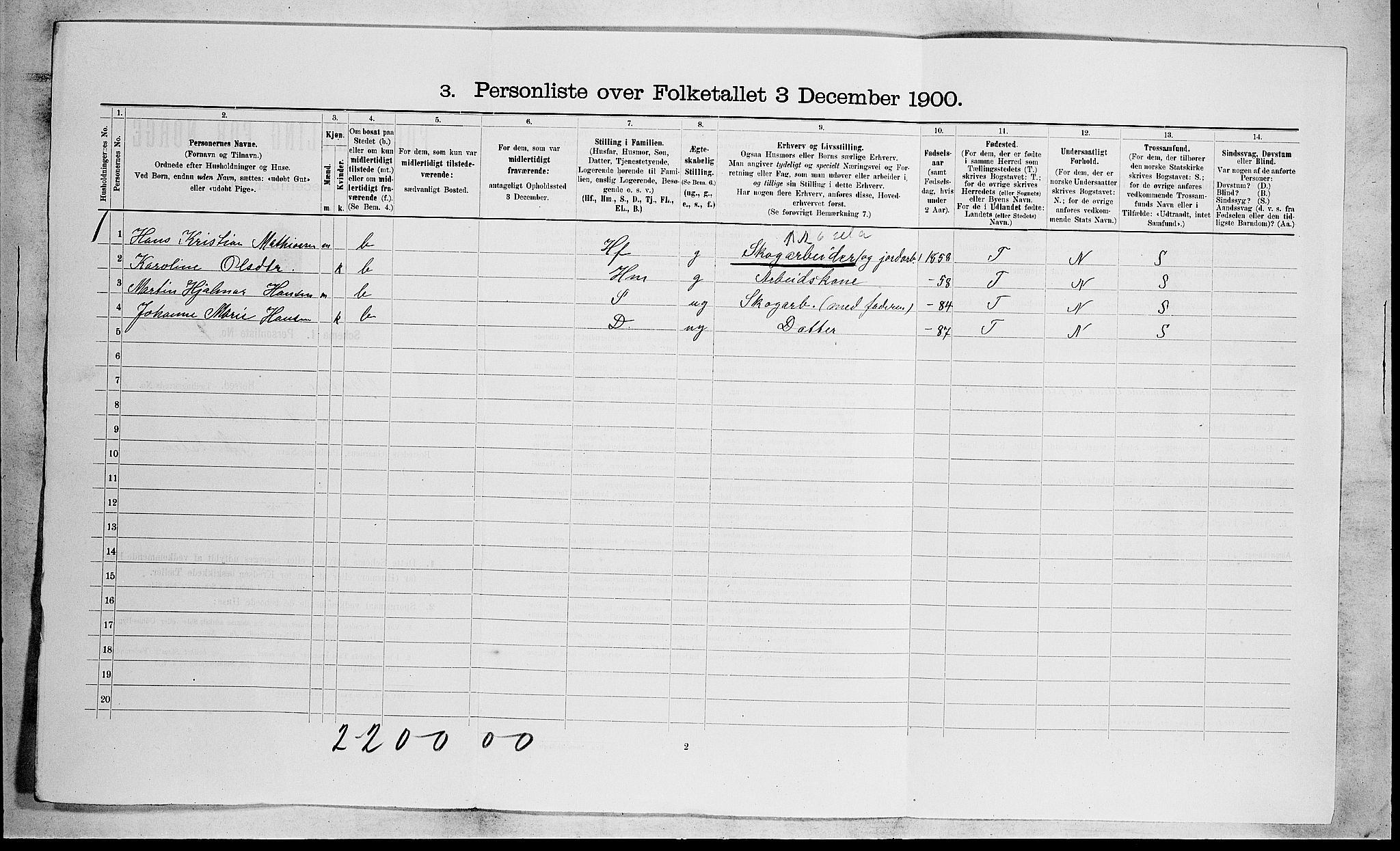RA, 1900 census for Botne, 1900, p. 205