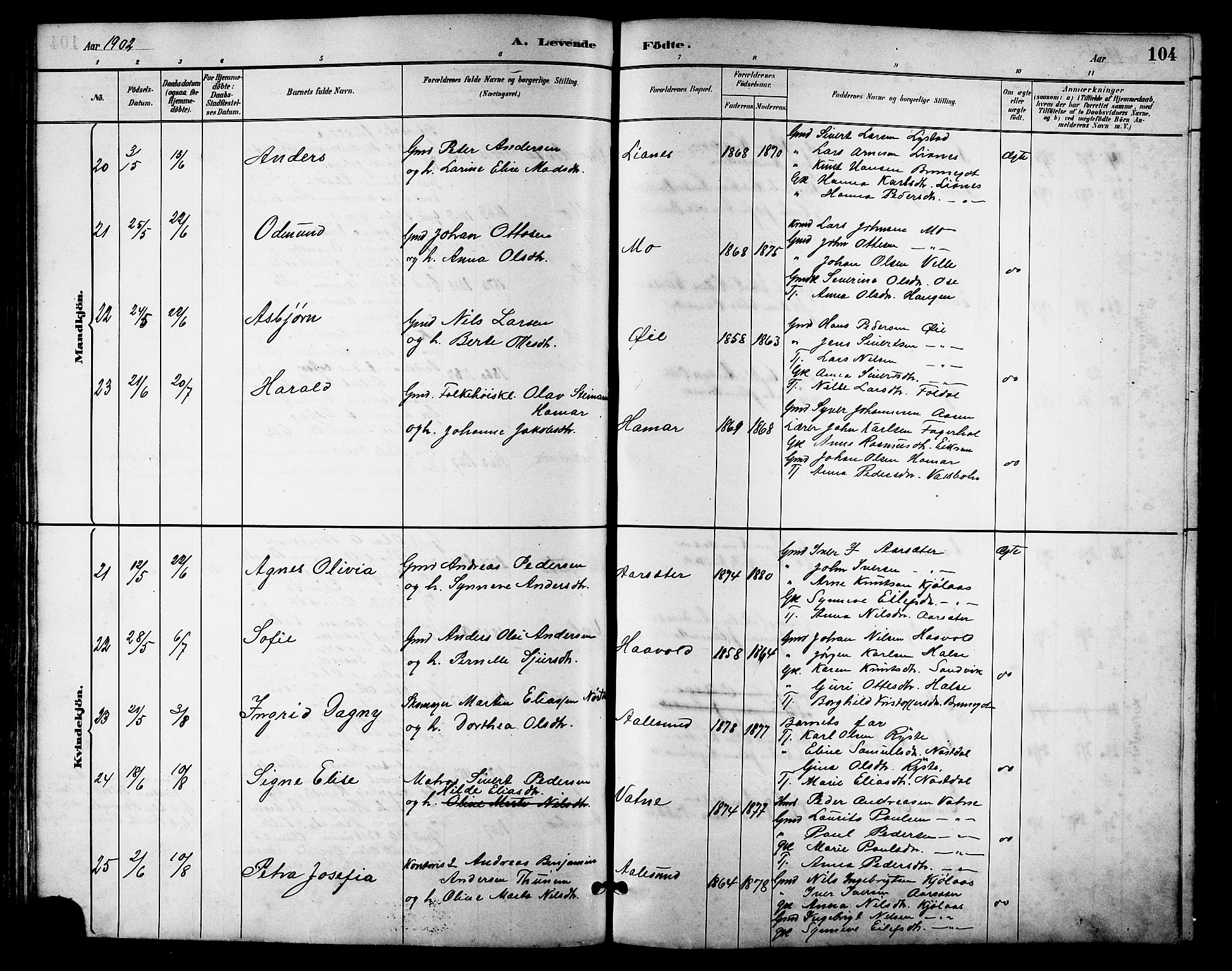 Ministerialprotokoller, klokkerbøker og fødselsregistre - Møre og Romsdal, AV/SAT-A-1454/513/L0189: Parish register (copy) no. 513C03, 1883-1904, p. 104