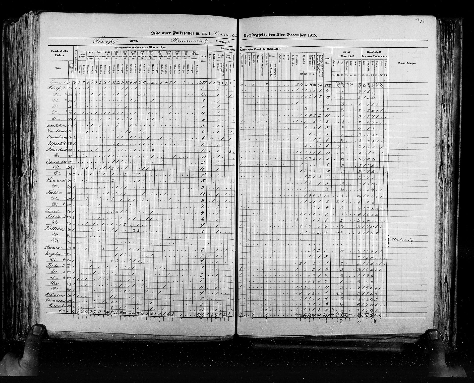 RA, Census 1845, vol. 5: Bratsberg amt og Nedenes og Råbyggelaget amt, 1845, p. 315