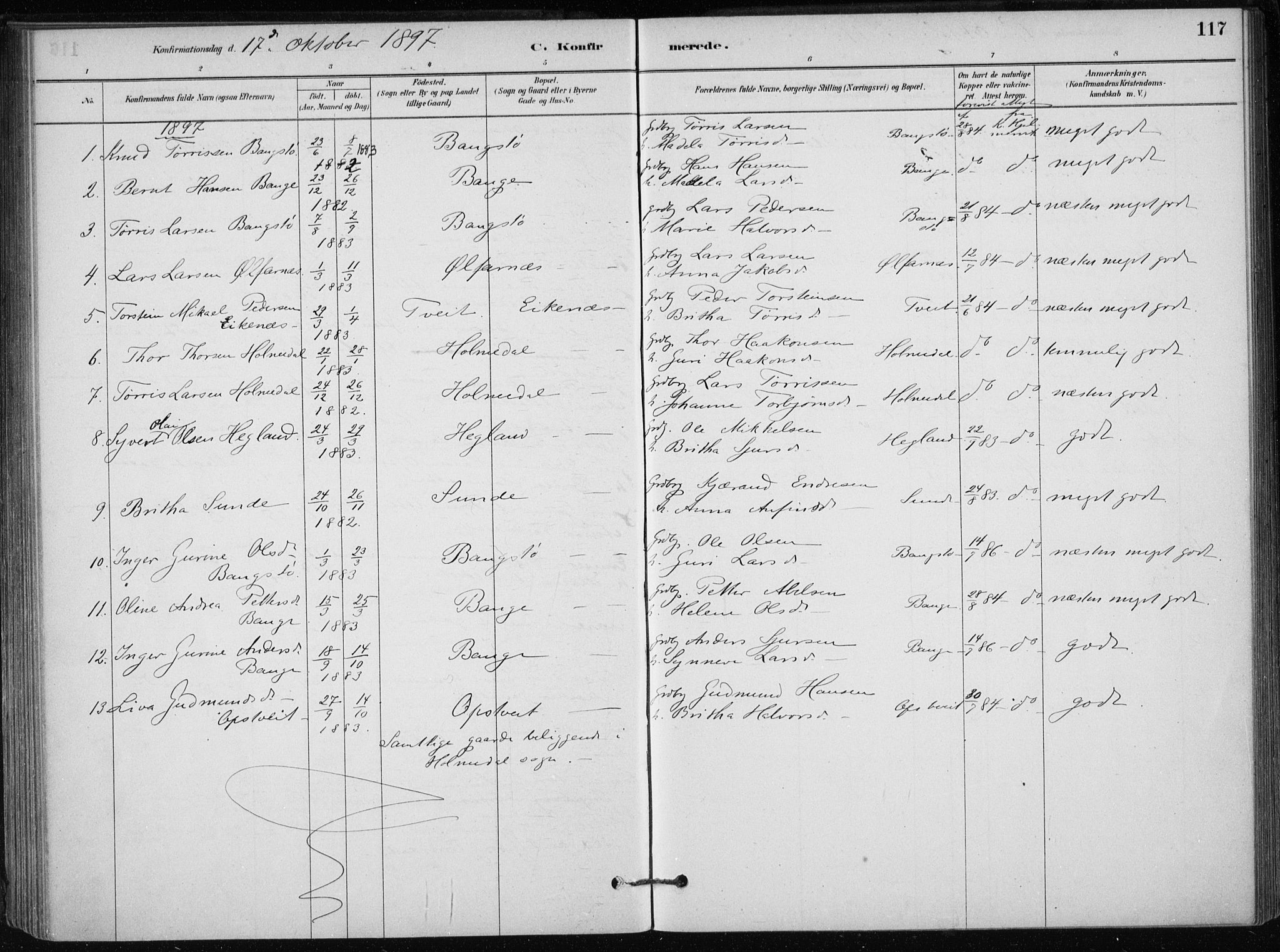 Skånevik sokneprestembete, AV/SAB-A-77801/H/Haa: Parish register (official) no. C  1, 1879-1917, p. 117