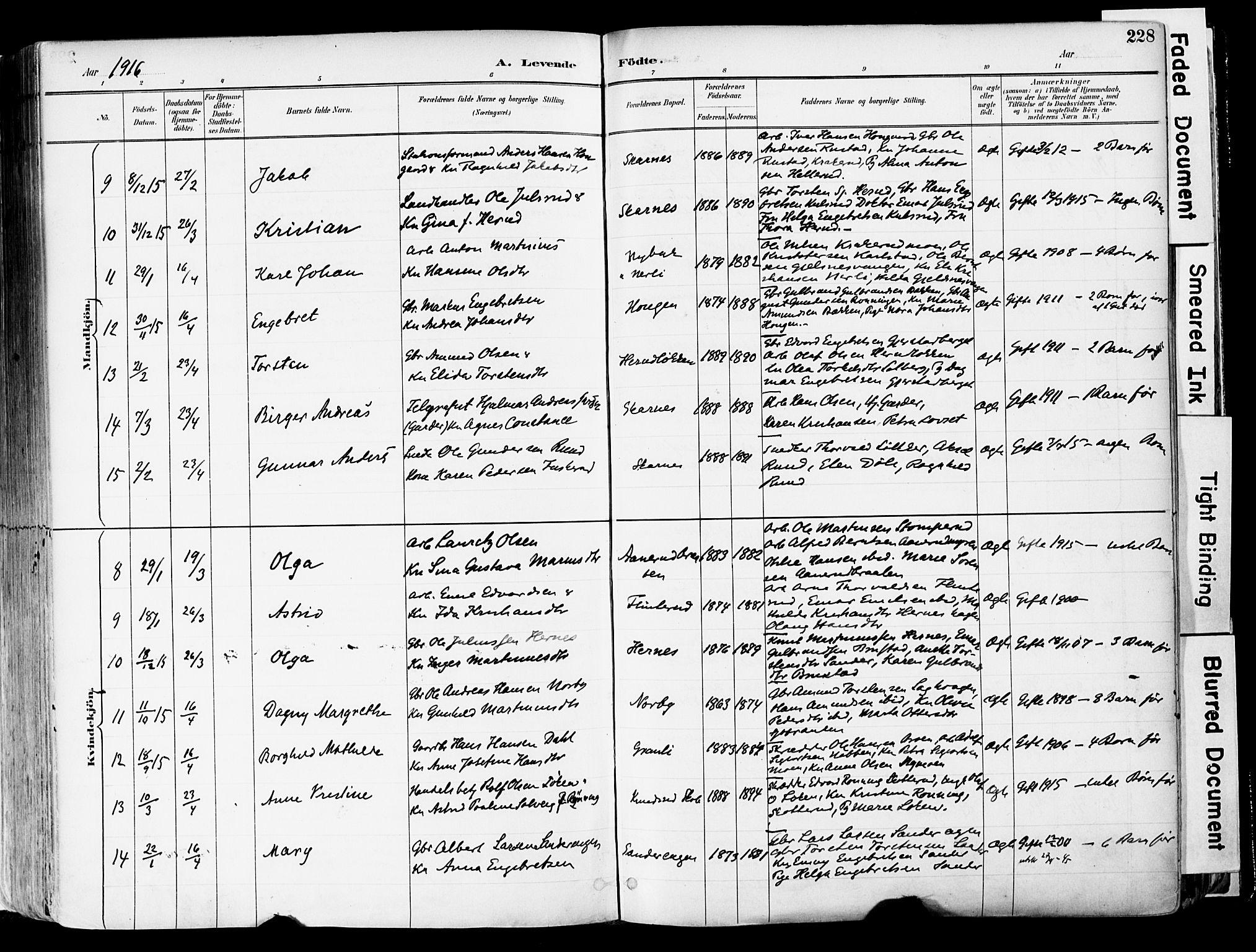 Sør-Odal prestekontor, AV/SAH-PREST-030/H/Ha/Haa/L0006: Parish register (official) no. 6, 1886-1931, p. 228