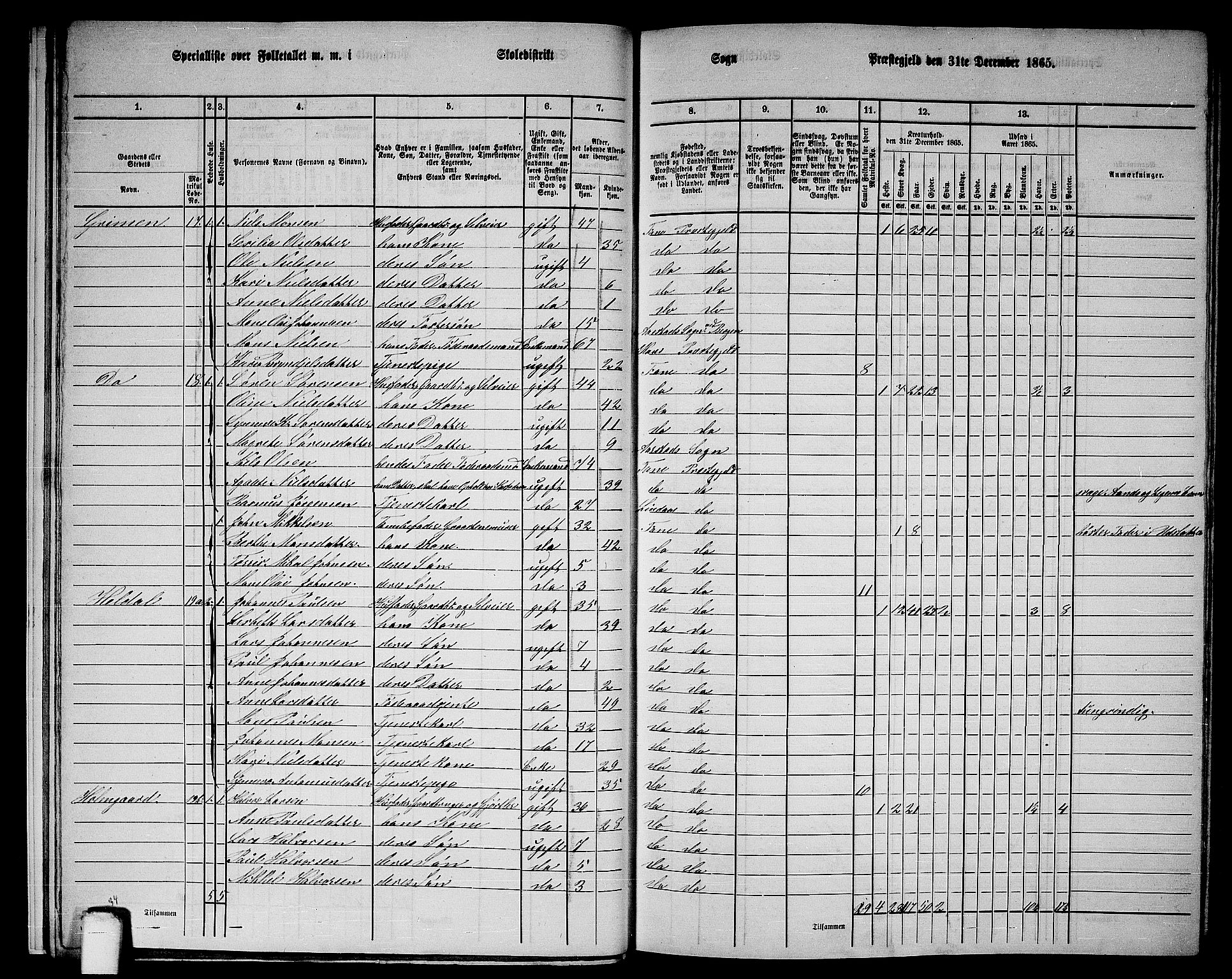 RA, 1865 census for Fana, 1865, p. 15