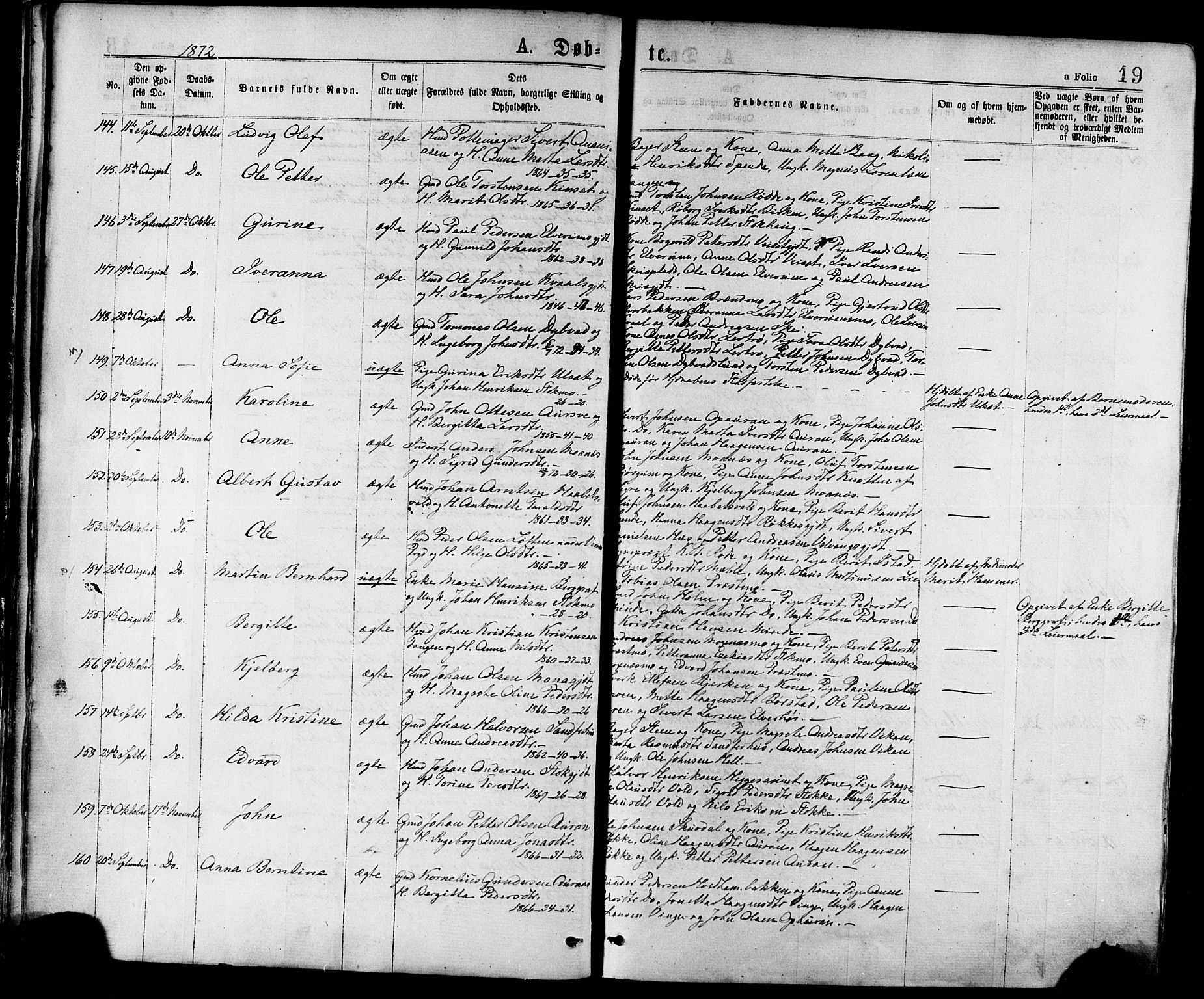Ministerialprotokoller, klokkerbøker og fødselsregistre - Nord-Trøndelag, SAT/A-1458/709/L0076: Parish register (official) no. 709A16, 1871-1879, p. 19