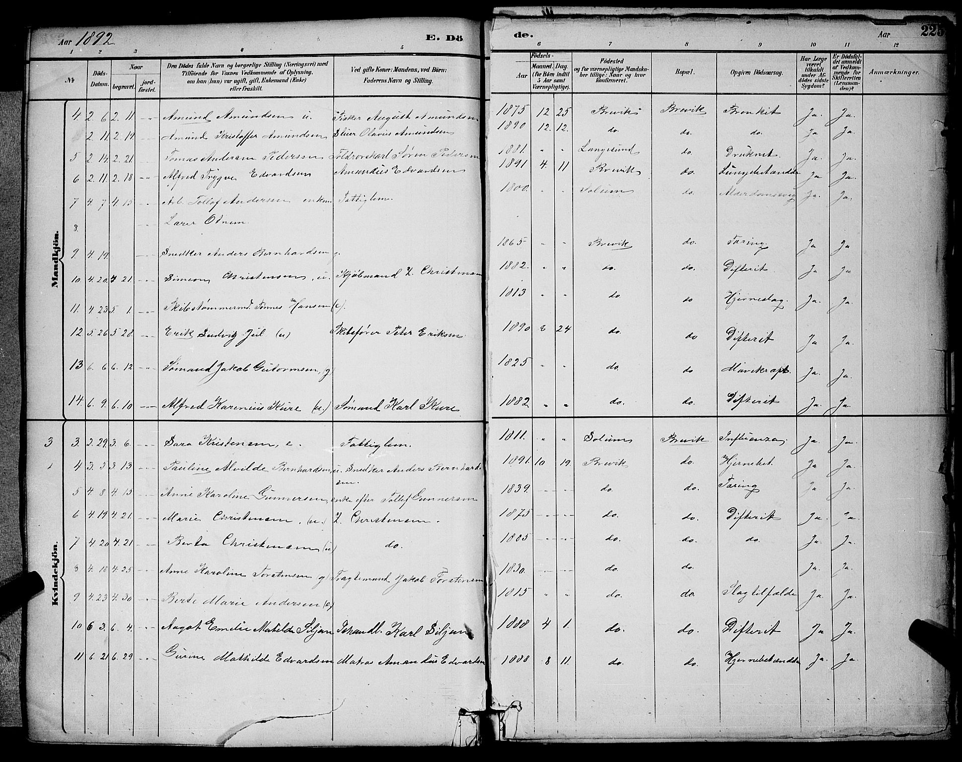 Brevik kirkebøker, SAKO/A-255/G/Ga/L0004: Parish register (copy) no. 4, 1882-1900, p. 225