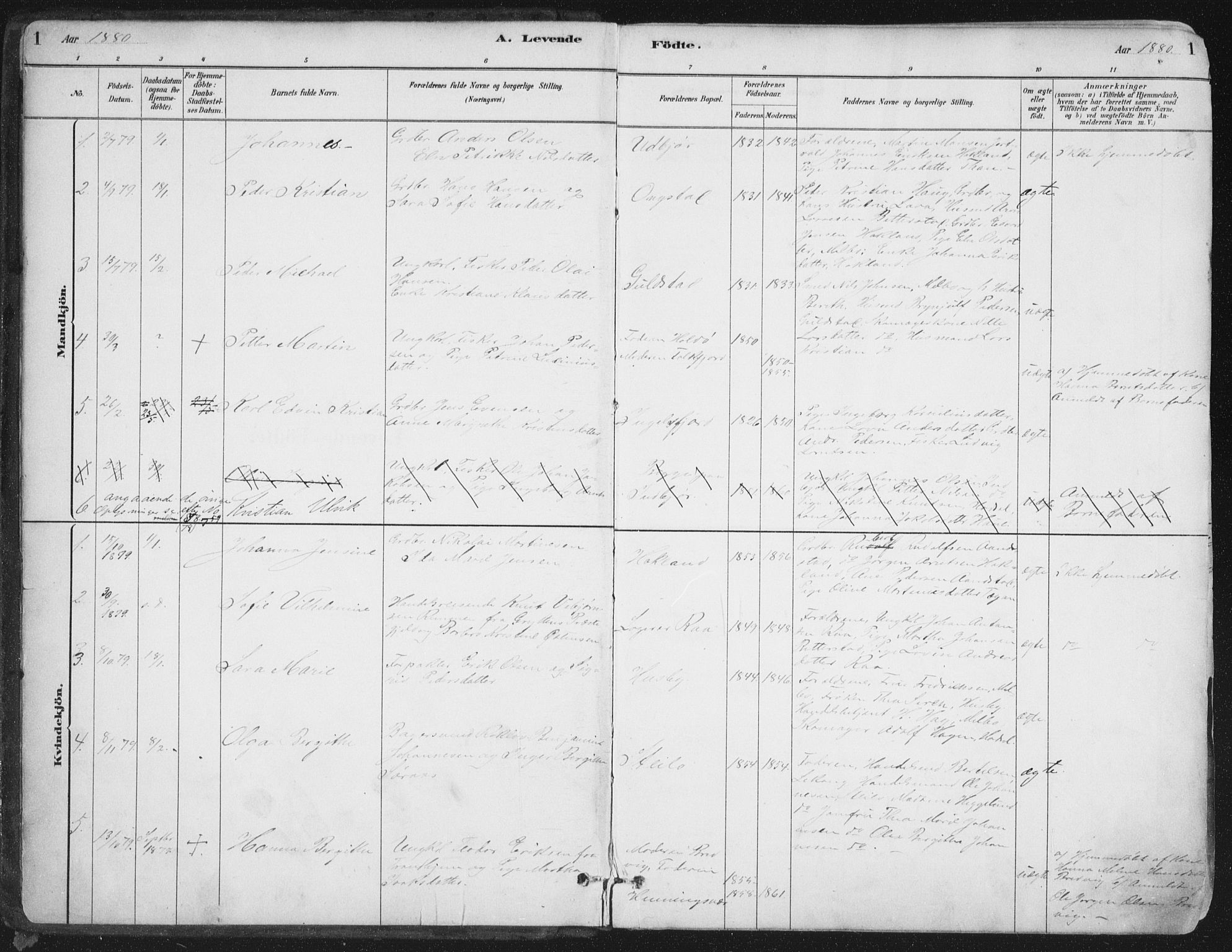 Ministerialprotokoller, klokkerbøker og fødselsregistre - Nordland, SAT/A-1459/888/L1244: Parish register (official) no. 888A10, 1880-1890, p. 1