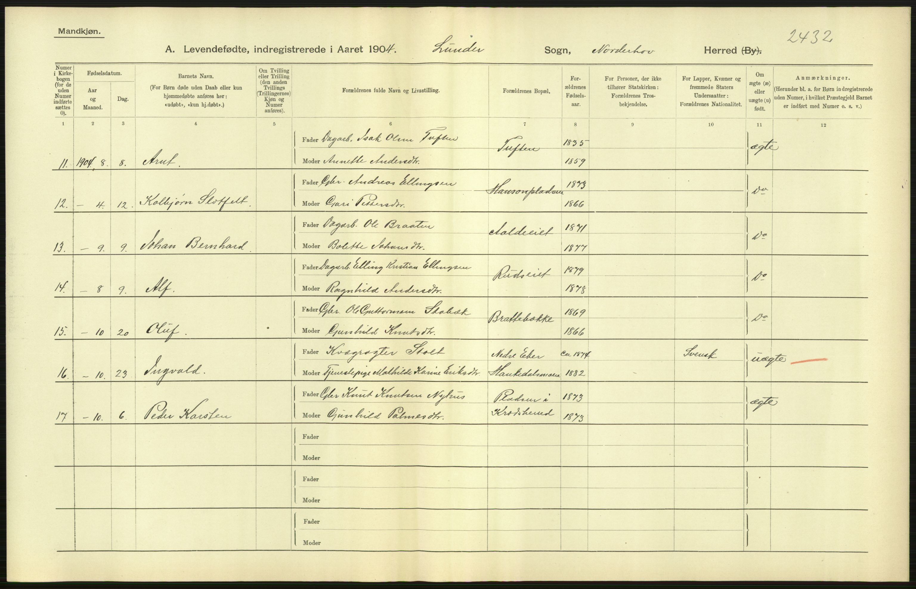 Statistisk sentralbyrå, Sosiodemografiske emner, Befolkning, AV/RA-S-2228/D/Df/Dfa/Dfab/L0007: Buskerud amt: Fødte, gifte, døde, 1904, p. 21