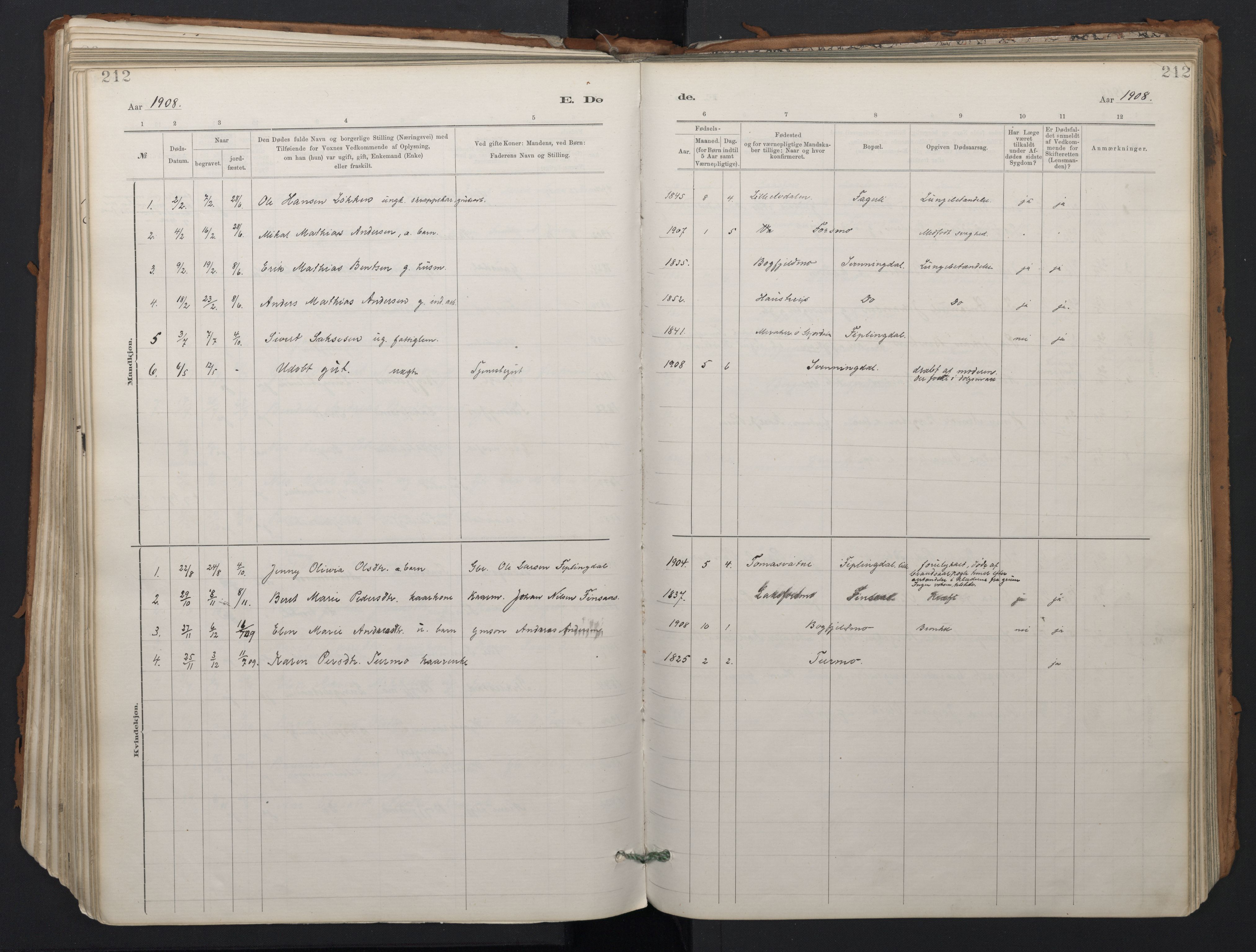 Ministerialprotokoller, klokkerbøker og fødselsregistre - Nordland, SAT/A-1459/824/L0338: Parish register (official) no. 824A01, 1880-1915, p. 212