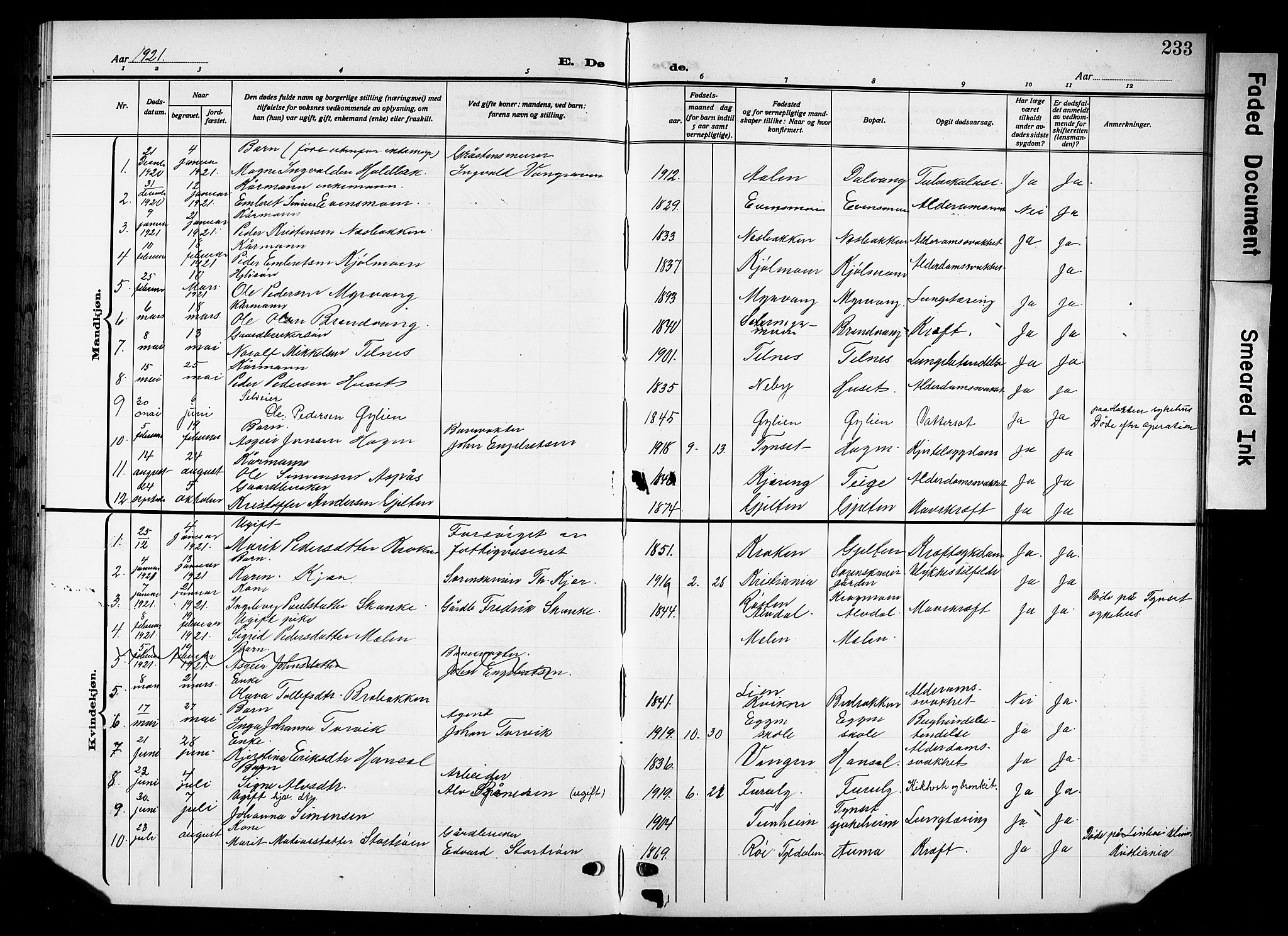 Tynset prestekontor, AV/SAH-PREST-058/H/Ha/Hab/L0011: Parish register (copy) no. 11, 1915-1930, p. 233