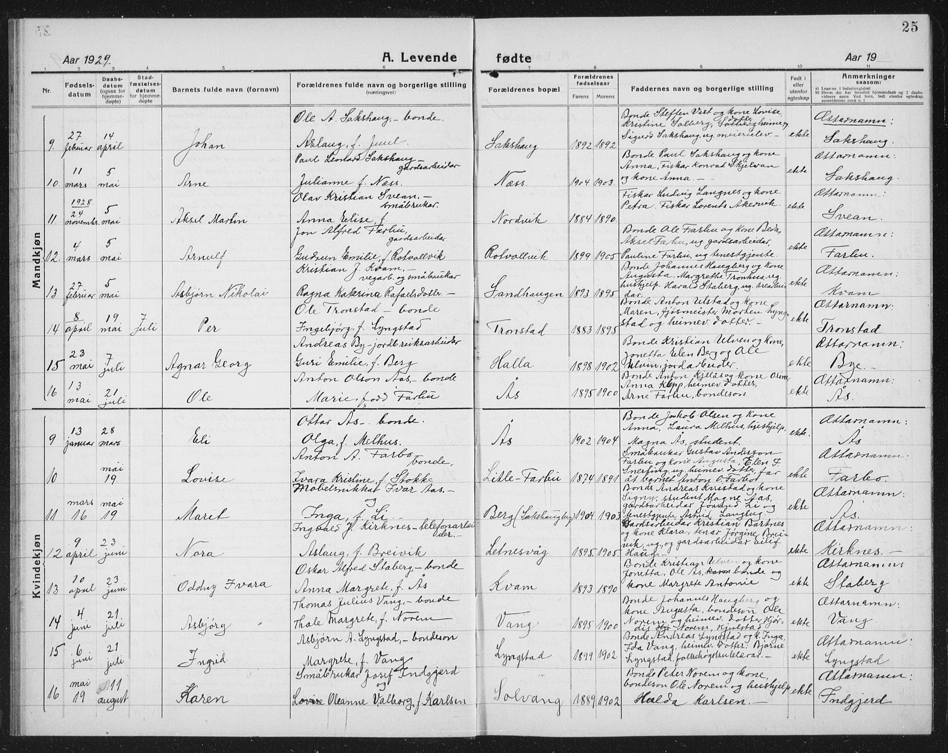 Ministerialprotokoller, klokkerbøker og fødselsregistre - Nord-Trøndelag, SAT/A-1458/730/L0303: Parish register (copy) no. 730C06, 1924-1933, p. 25