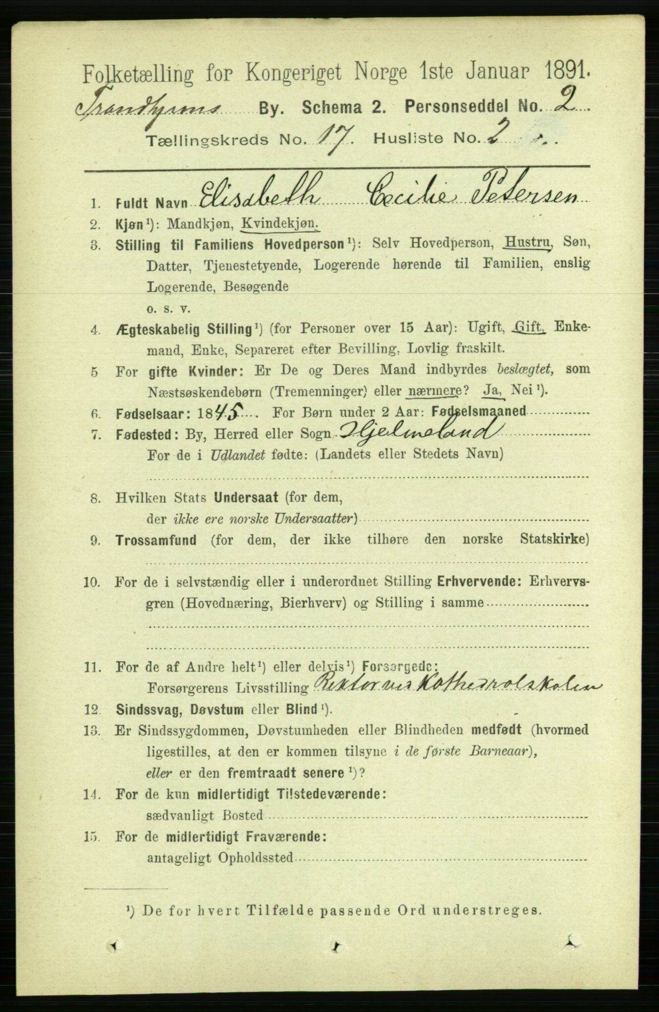 RA, 1891 census for 1601 Trondheim, 1891, p. 13214