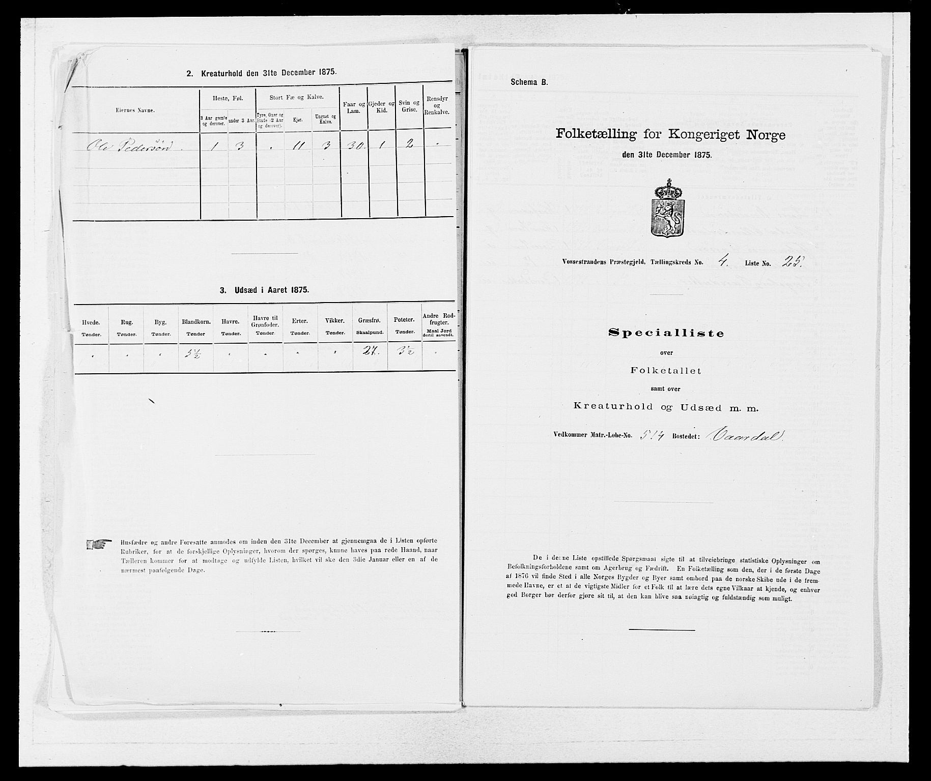 SAB, 1875 census for 1236P Vossestrand, 1875, p. 381