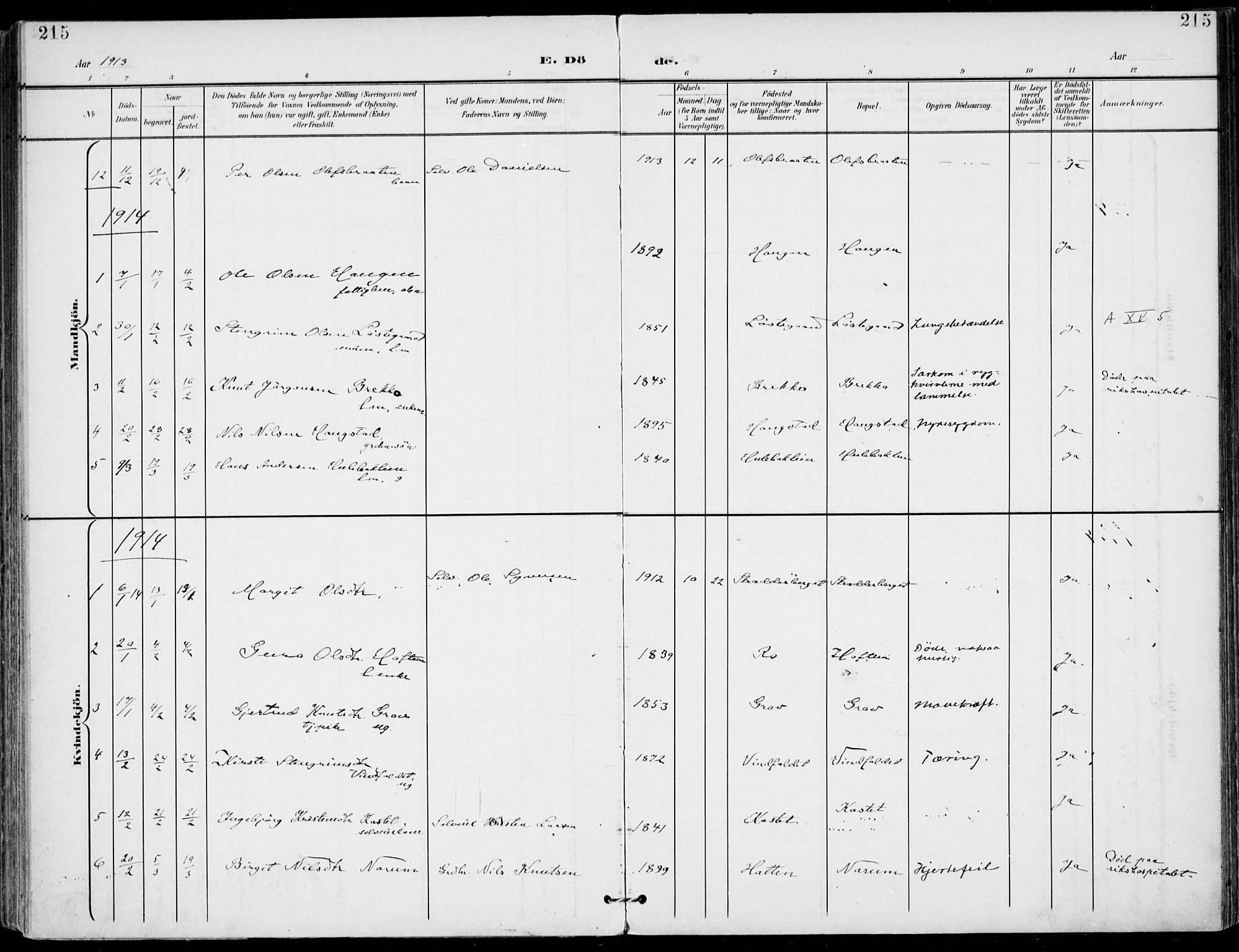 Gol kirkebøker, SAKO/A-226/F/Fa/L0006: Parish register (official) no. I 6, 1901-1918, p. 215