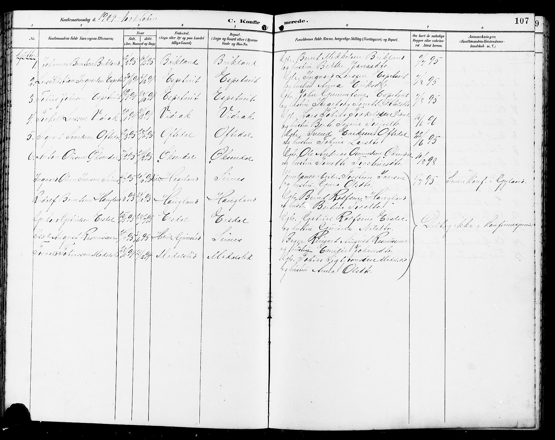 Bakke sokneprestkontor, AV/SAK-1111-0002/F/Fb/Fba/L0003: Parish register (copy) no. B 3, 1894-1910, p. 107