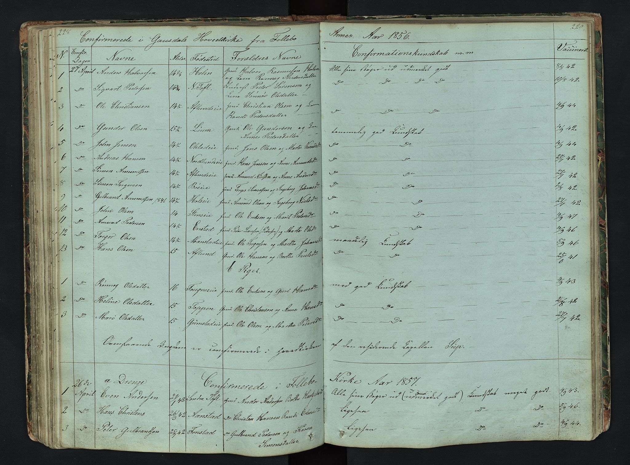 Gausdal prestekontor, SAH/PREST-090/H/Ha/Hab/L0006: Parish register (copy) no. 6, 1846-1893, p. 228-229