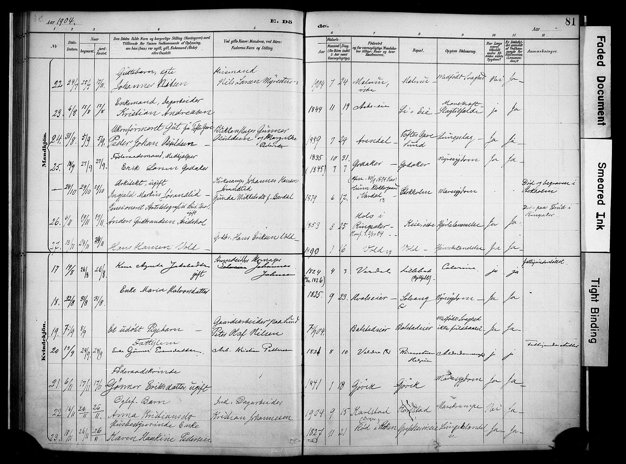 Nes prestekontor, Hedmark, AV/SAH-PREST-020/K/Ka/L0011: Parish register (official) no. 11, 1887-1905, p. 81