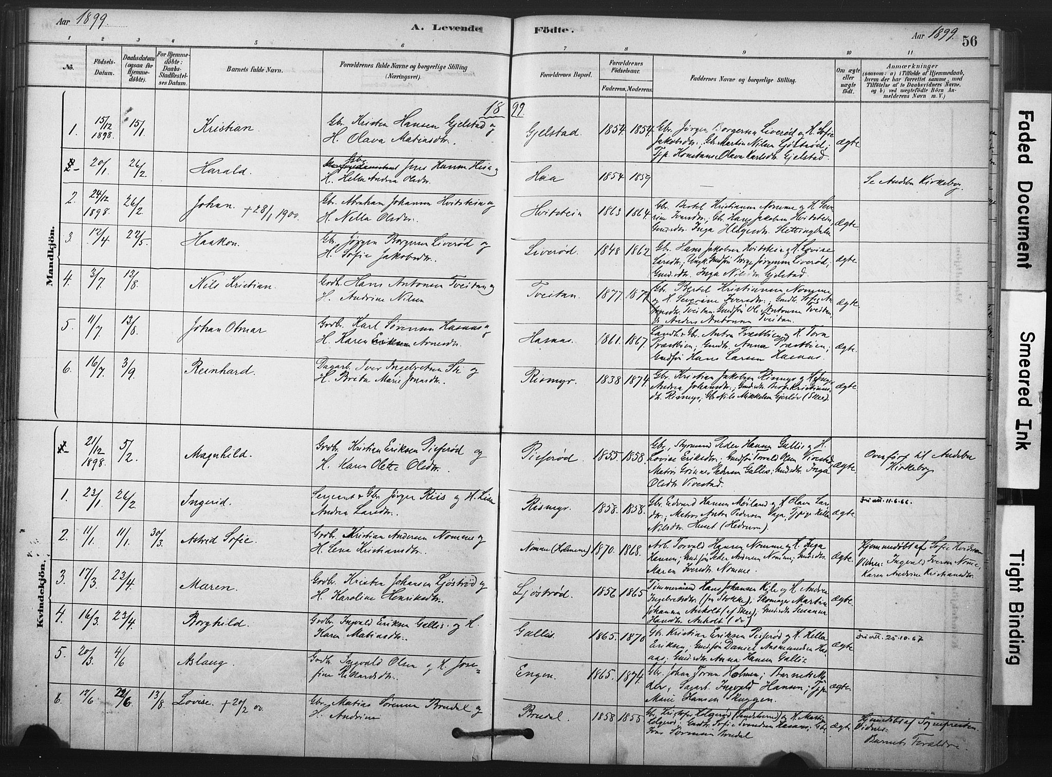 Andebu kirkebøker, AV/SAKO-A-336/F/Fa/L0008: Parish register (official) no. 8, 1878-1902, p. 56