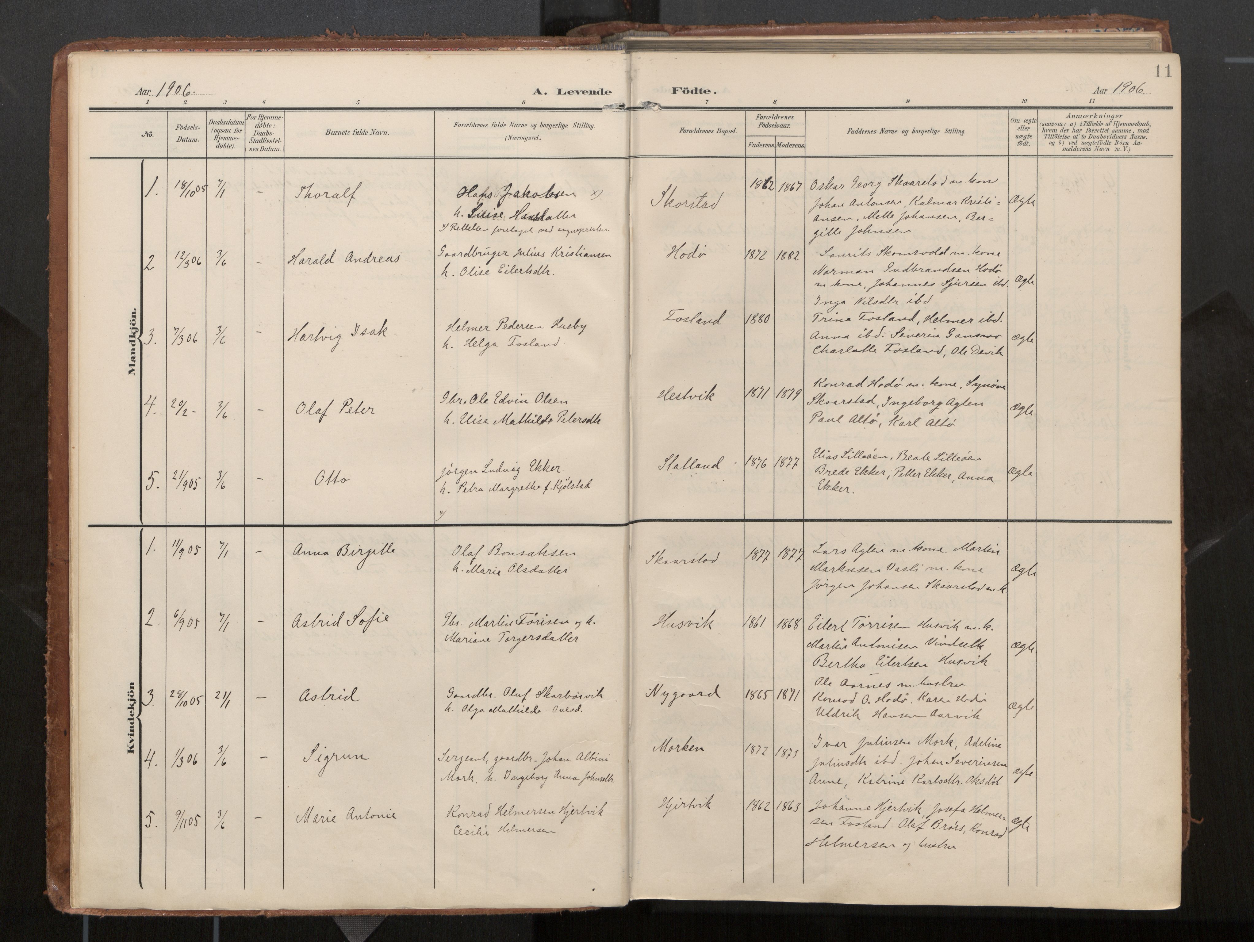 Ministerialprotokoller, klokkerbøker og fødselsregistre - Nord-Trøndelag, AV/SAT-A-1458/774/L0629: Parish register (official), 1904-1926, p. 11