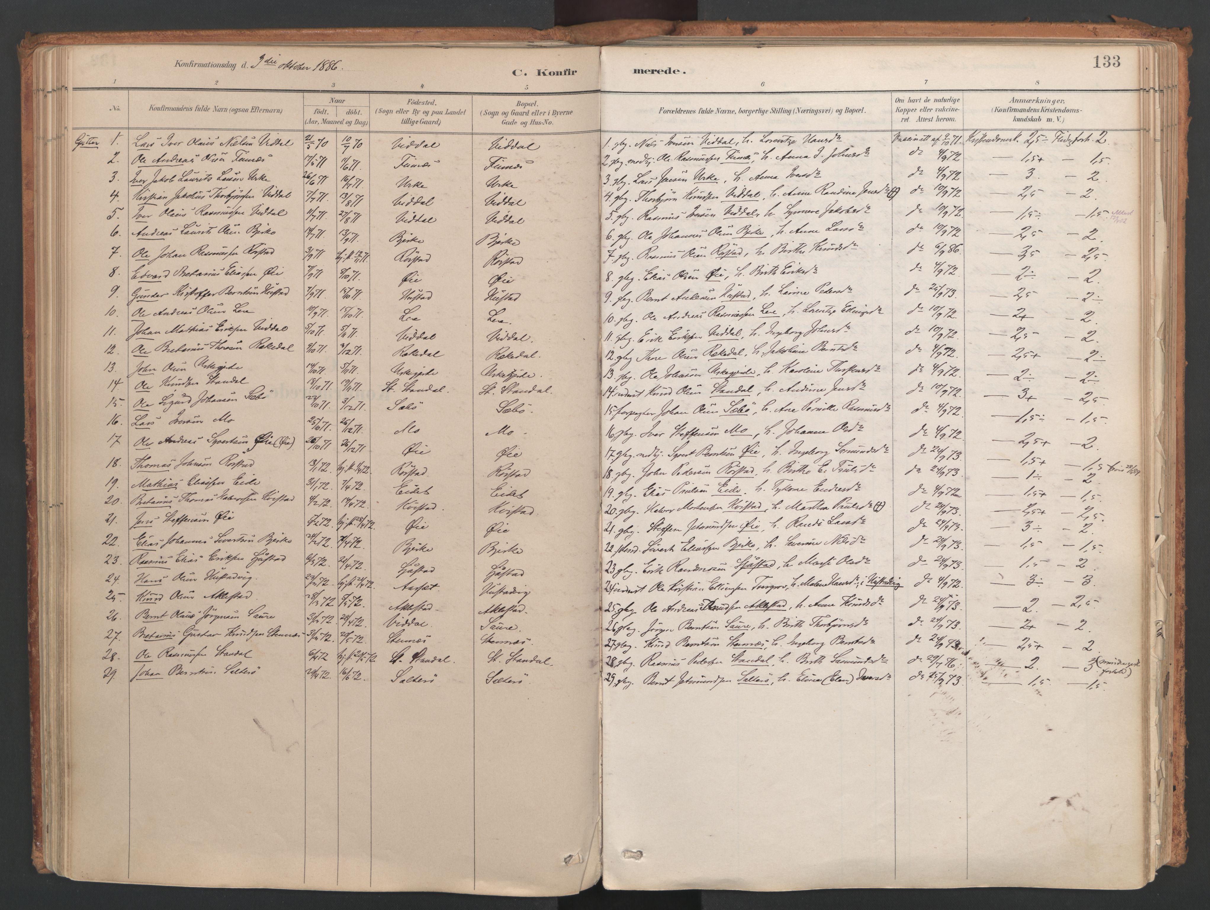 Ministerialprotokoller, klokkerbøker og fødselsregistre - Møre og Romsdal, AV/SAT-A-1454/515/L0211: Parish register (official) no. 515A07, 1886-1910, p. 133