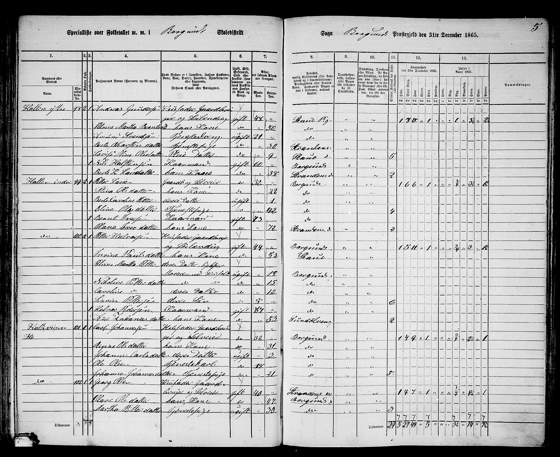 RA, 1865 census for Borgund, 1865, p. 64