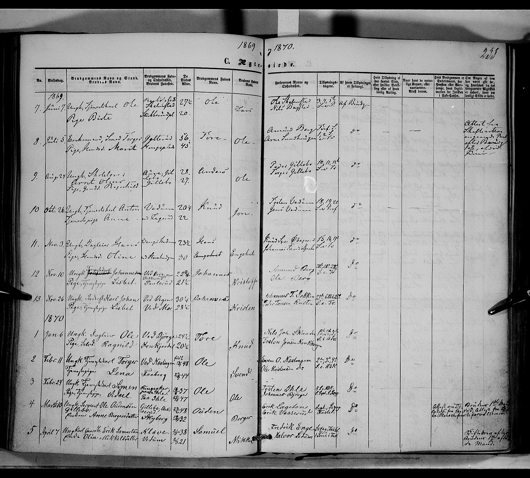 Øyer prestekontor, SAH/PREST-084/H/Ha/Haa/L0006: Parish register (official) no. 6, 1858-1874, p. 233