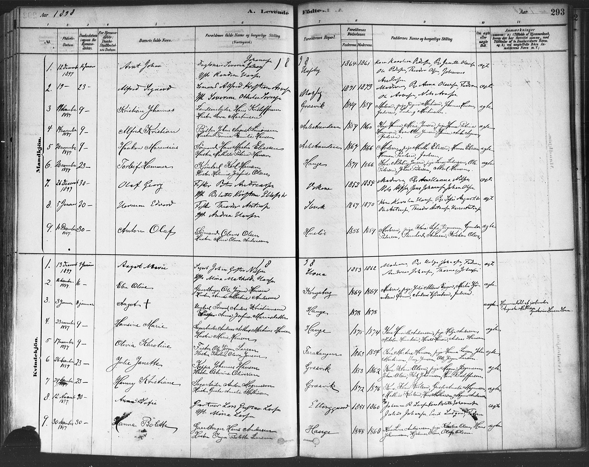 Onsøy prestekontor Kirkebøker, AV/SAO-A-10914/F/Fa/L0005: Parish register (official) no. I 5, 1878-1898, p. 293
