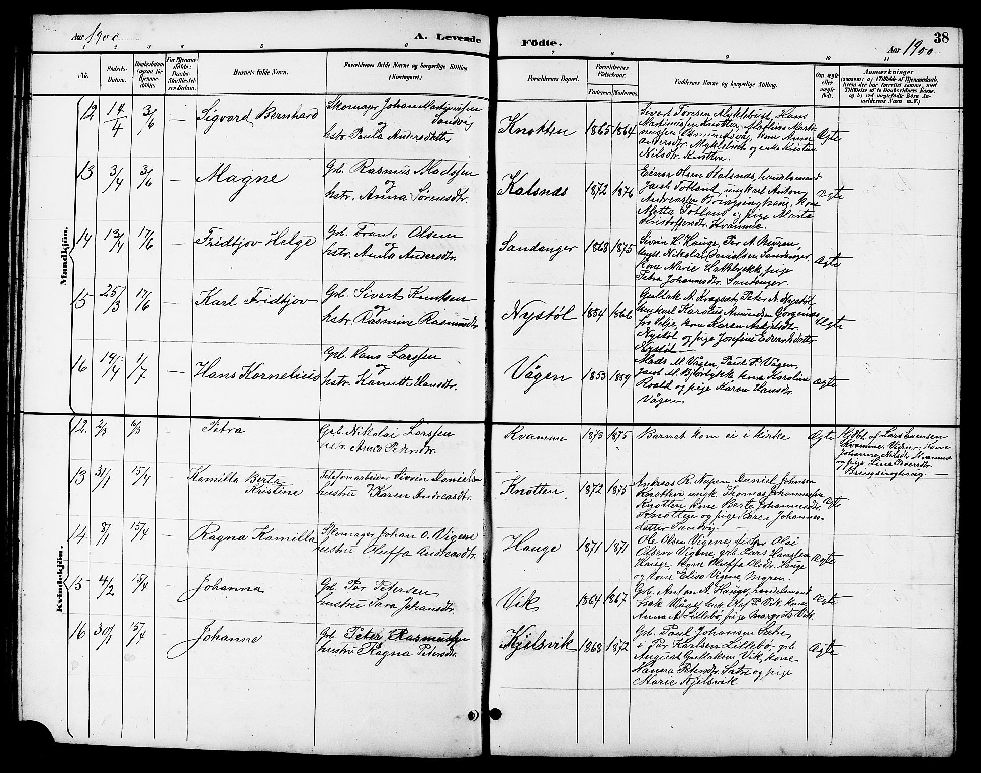 Ministerialprotokoller, klokkerbøker og fødselsregistre - Møre og Romsdal, AV/SAT-A-1454/503/L0049: Parish register (copy) no. 503C04, 1894-1915, p. 38