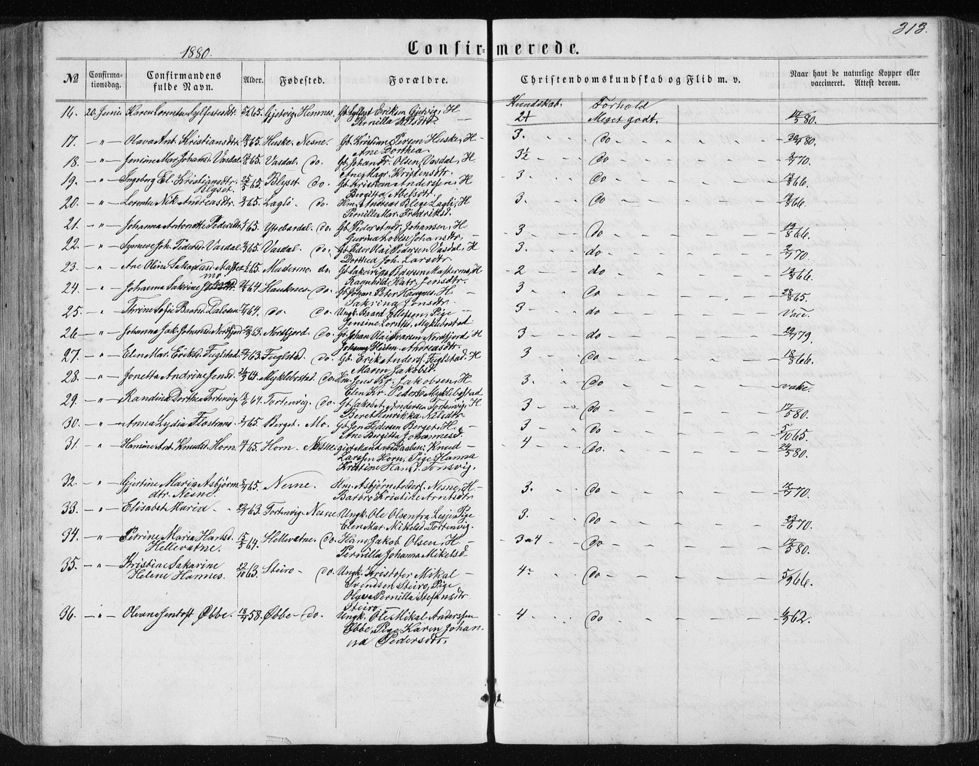 Ministerialprotokoller, klokkerbøker og fødselsregistre - Nordland, AV/SAT-A-1459/838/L0556: Parish register (copy) no. 838C03, 1861-1893, p. 313