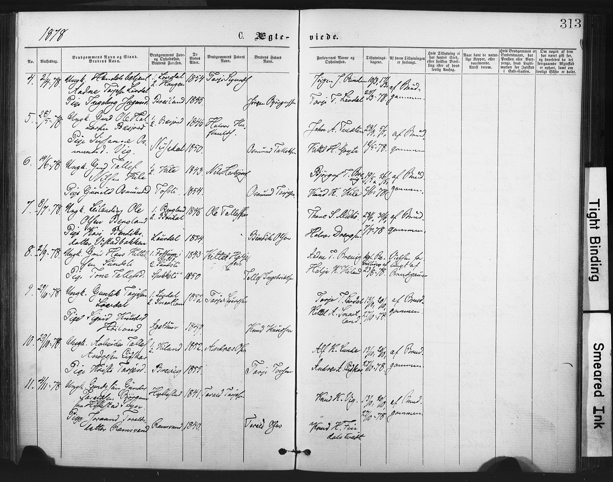 Fyresdal kirkebøker, SAKO/A-263/F/Fa/L0006: Parish register (official) no. I 6, 1872-1886, p. 313