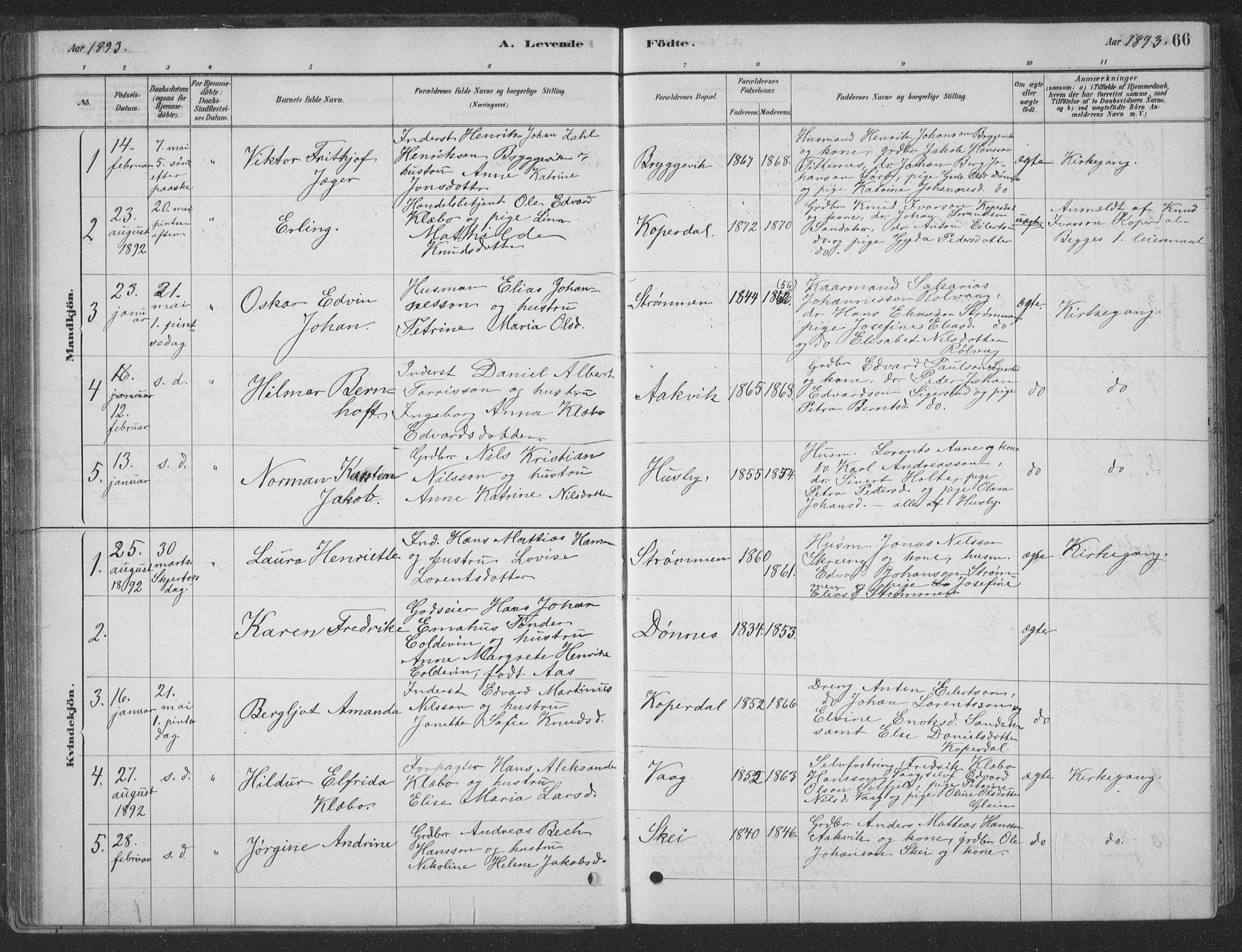 Ministerialprotokoller, klokkerbøker og fødselsregistre - Nordland, SAT/A-1459/835/L0532: Parish register (copy) no. 835C04, 1880-1905, p. 66