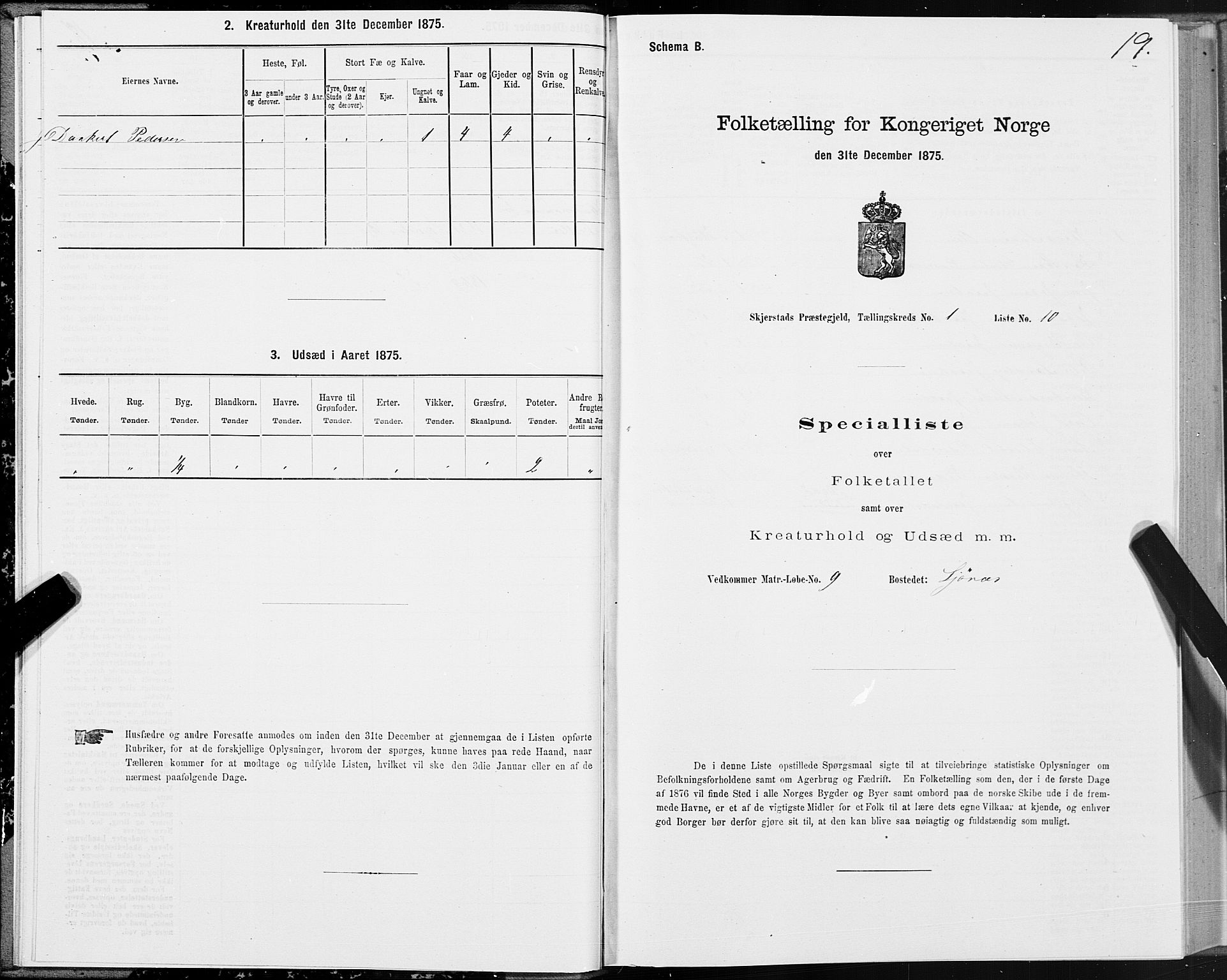 SAT, 1875 census for 1842P Skjerstad, 1875, p. 1019